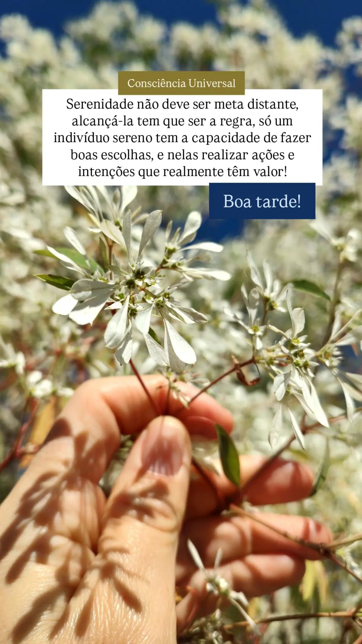 @Consciência Universal
