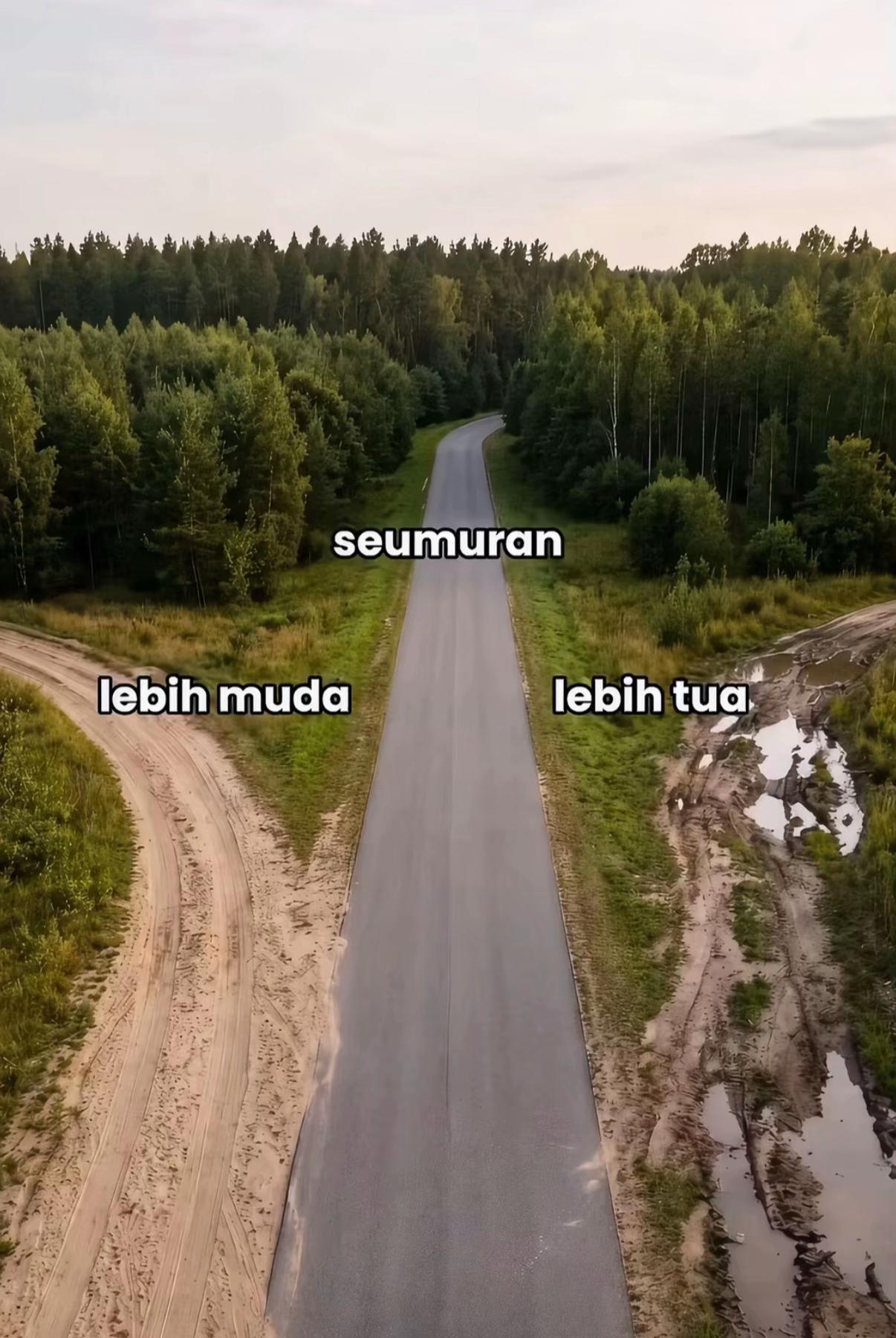 @Rara Wd