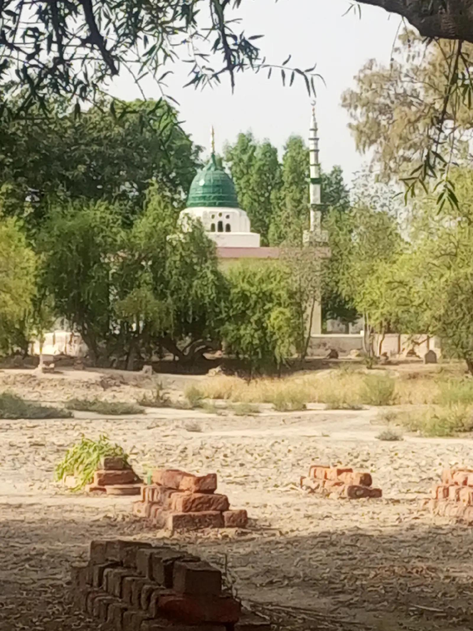 @Jam Khalil