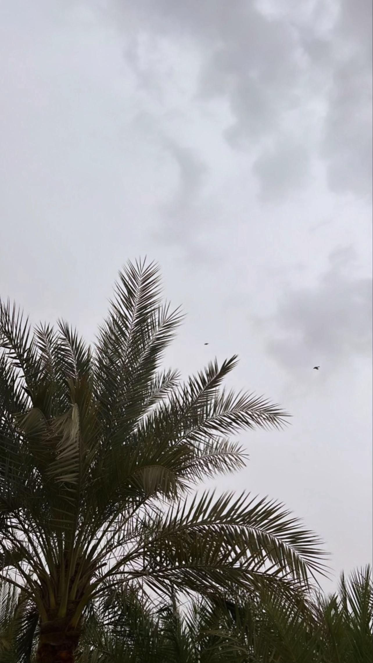 @نَ
