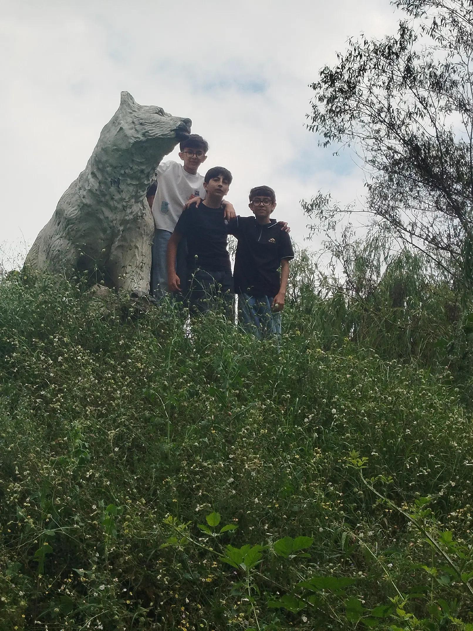 @piri ugur