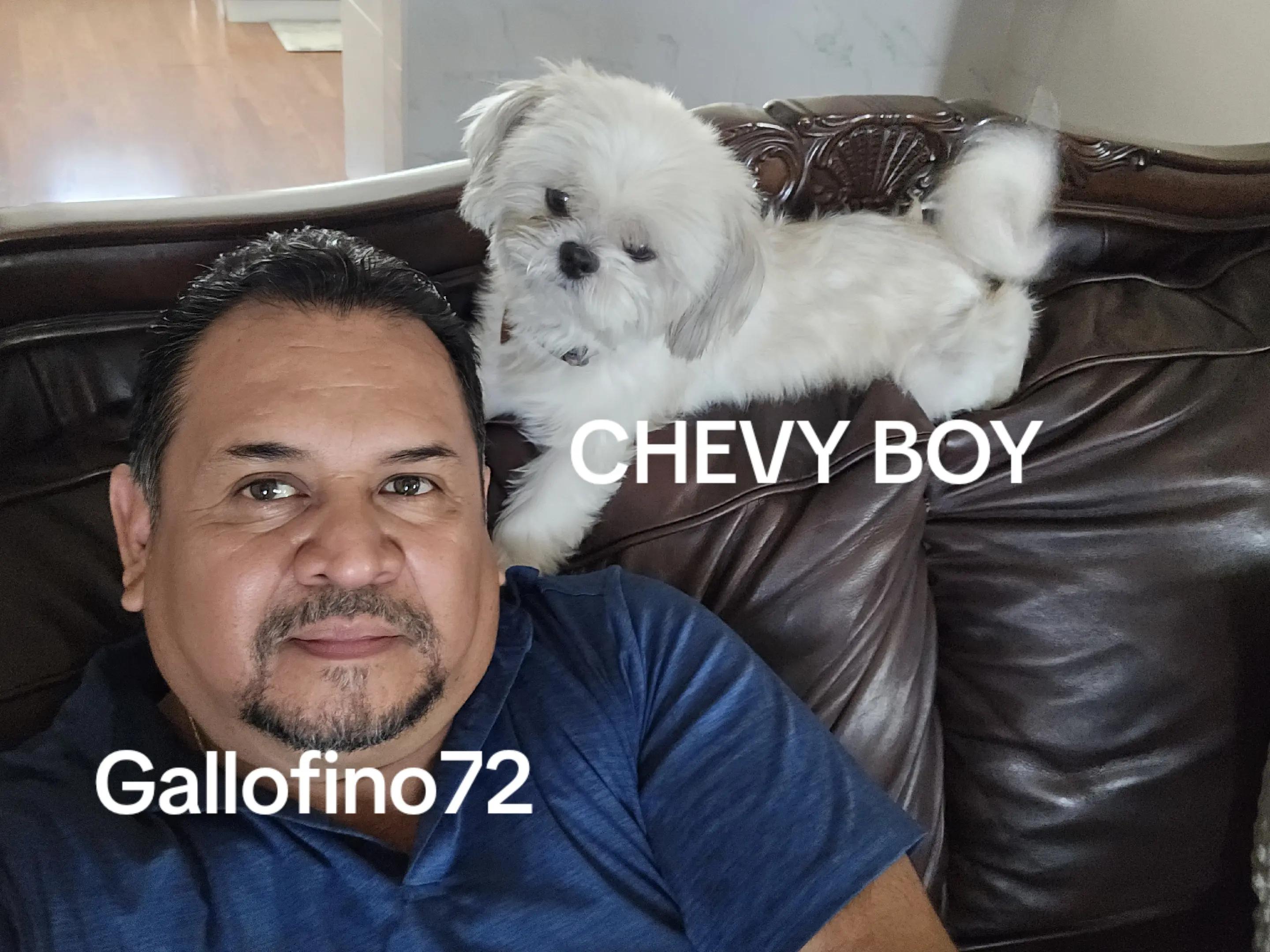 @ElGalloFino