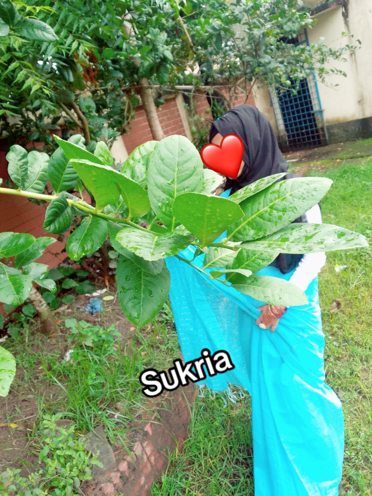 @Sukria's world🌍