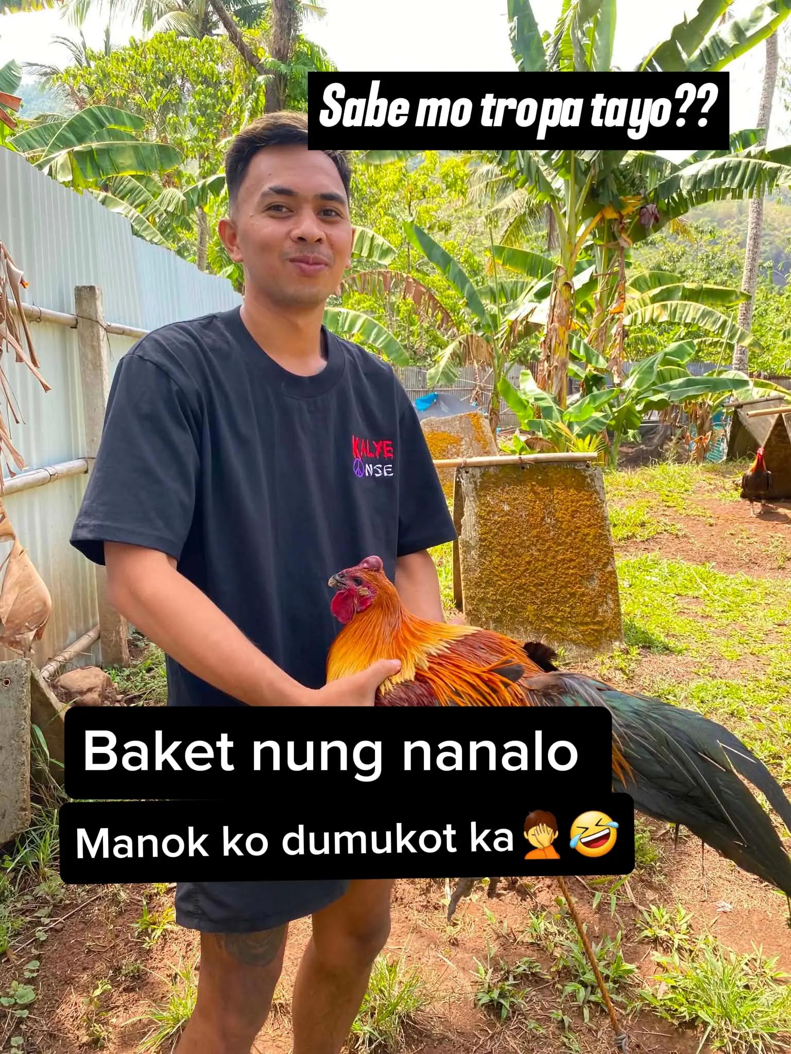 @Tatuy's BKYRD