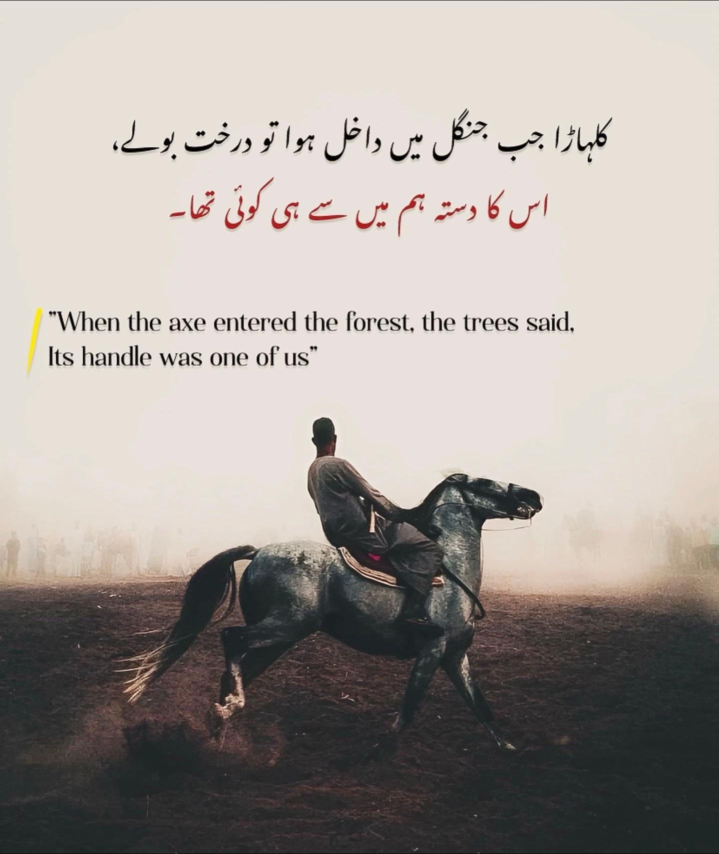 @UmerShehbaz44