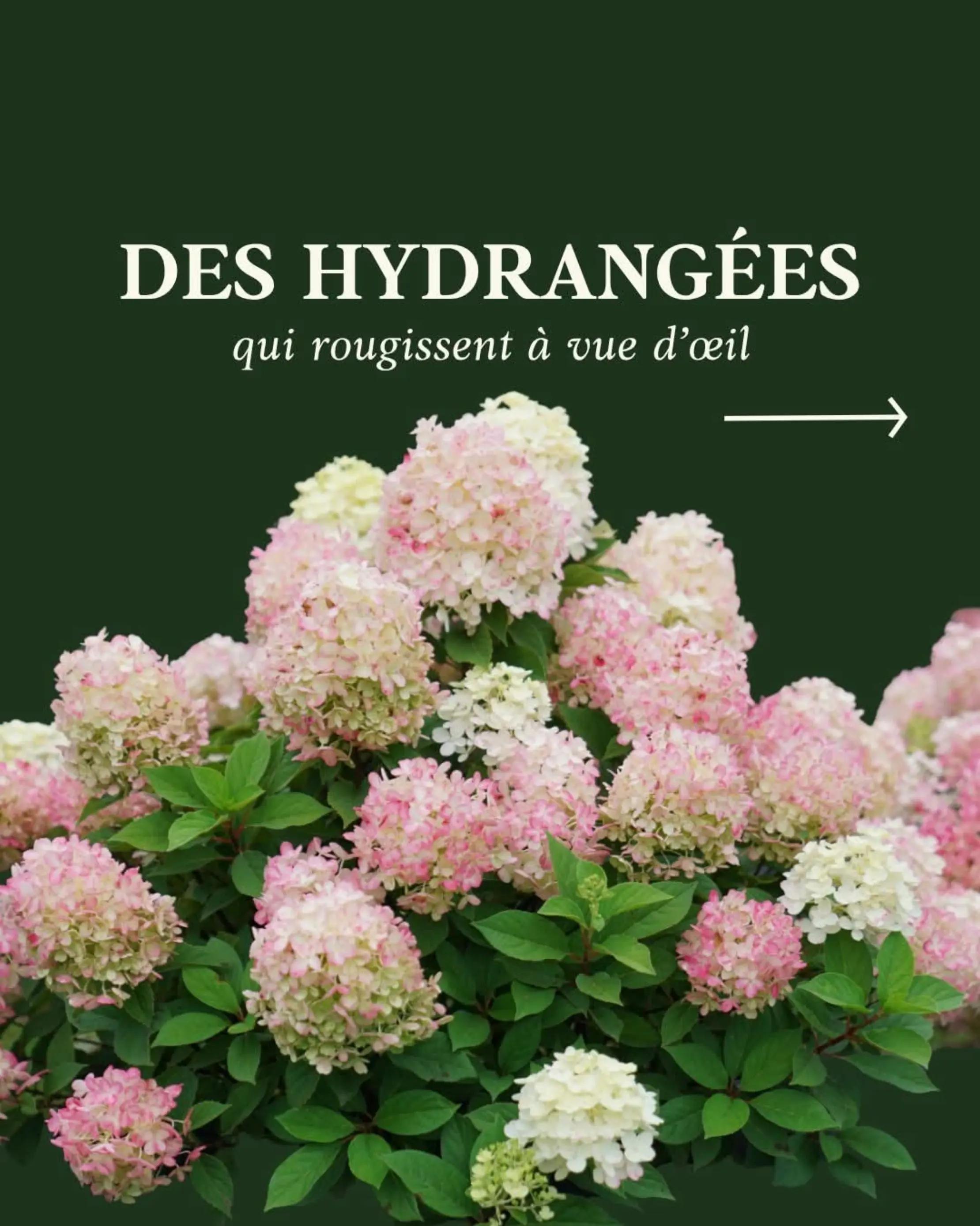 @L’Éphémère