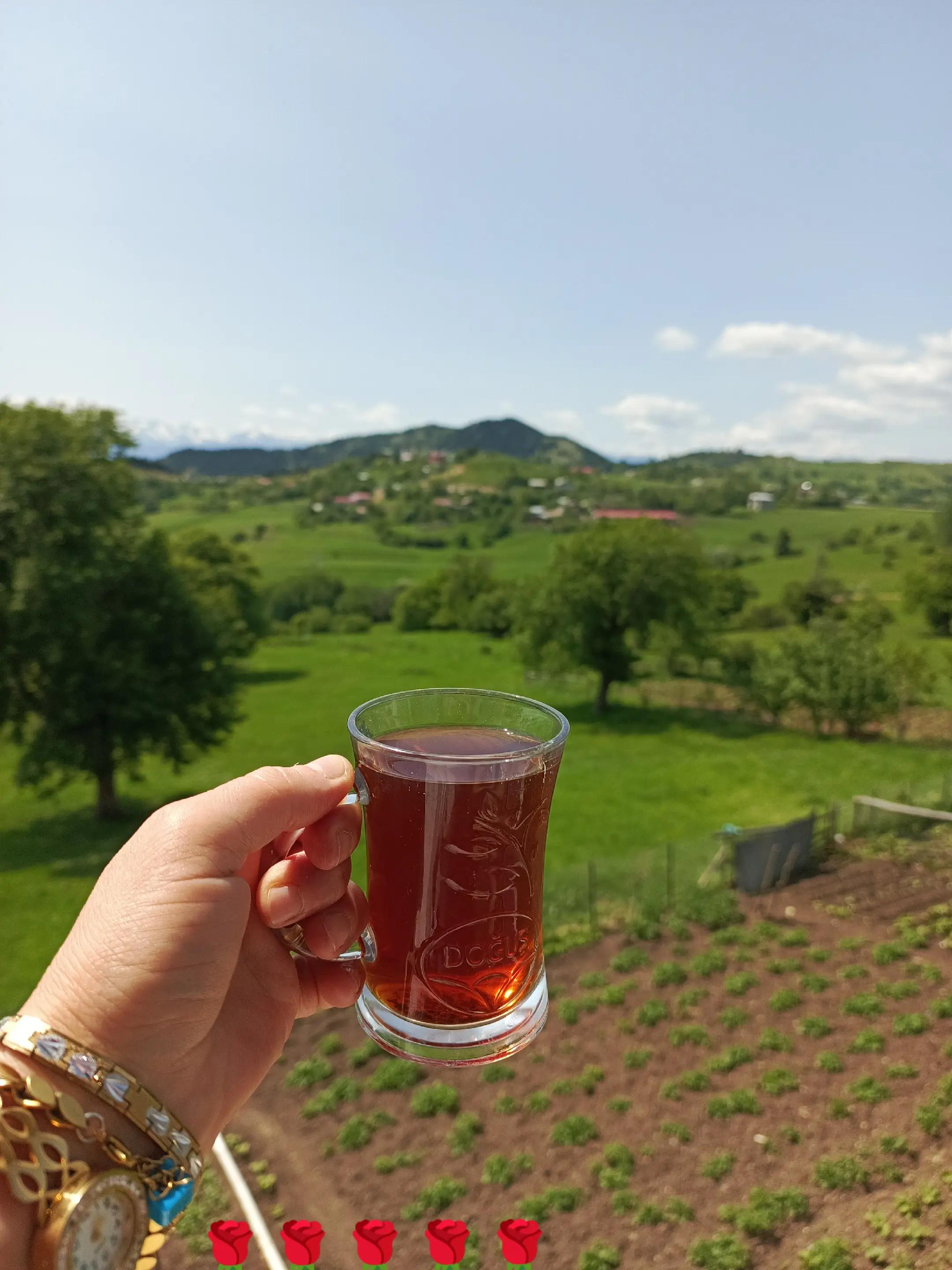 @08.G&Uuml;LL&Uuml;