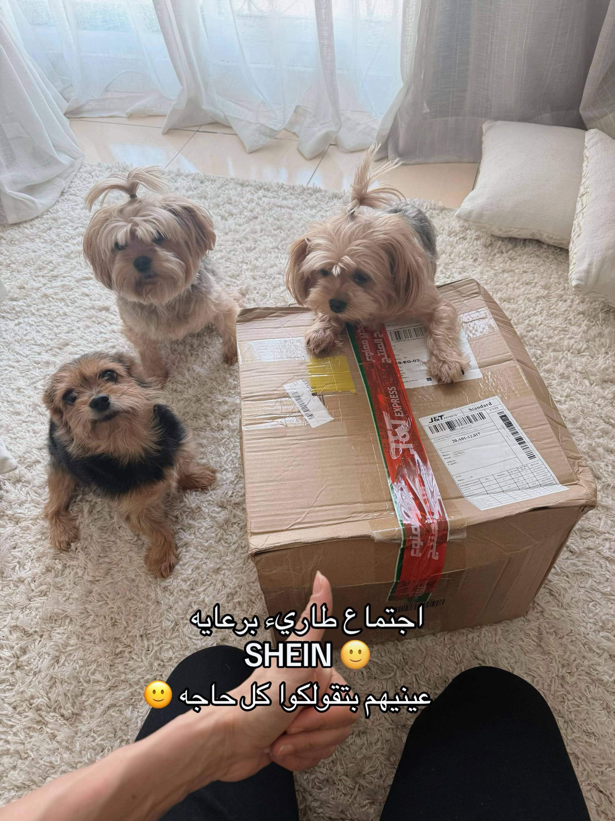 @Emma Abdel-aziz