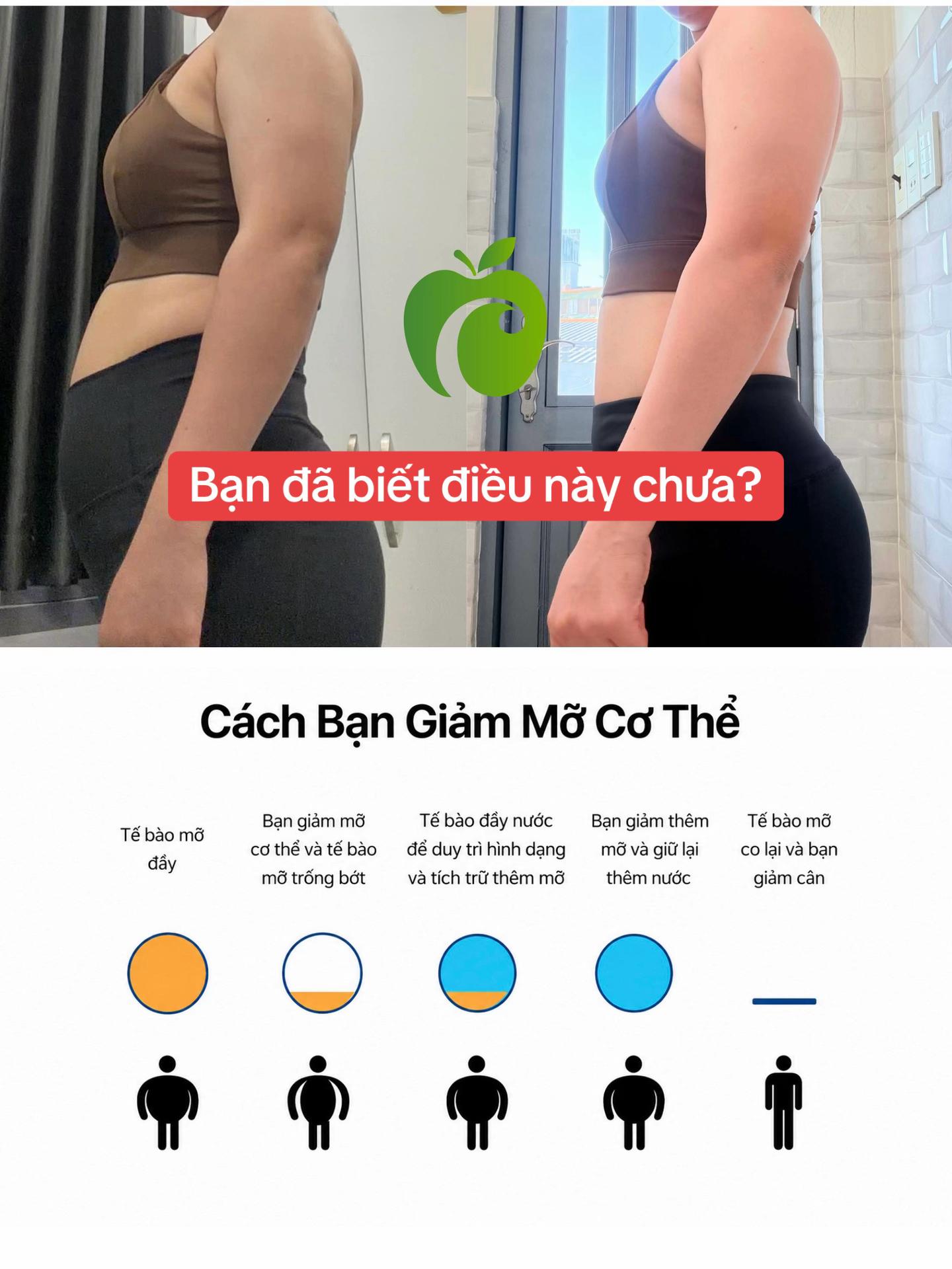 @Phương Ở Đ&acirc;y - Caloer
