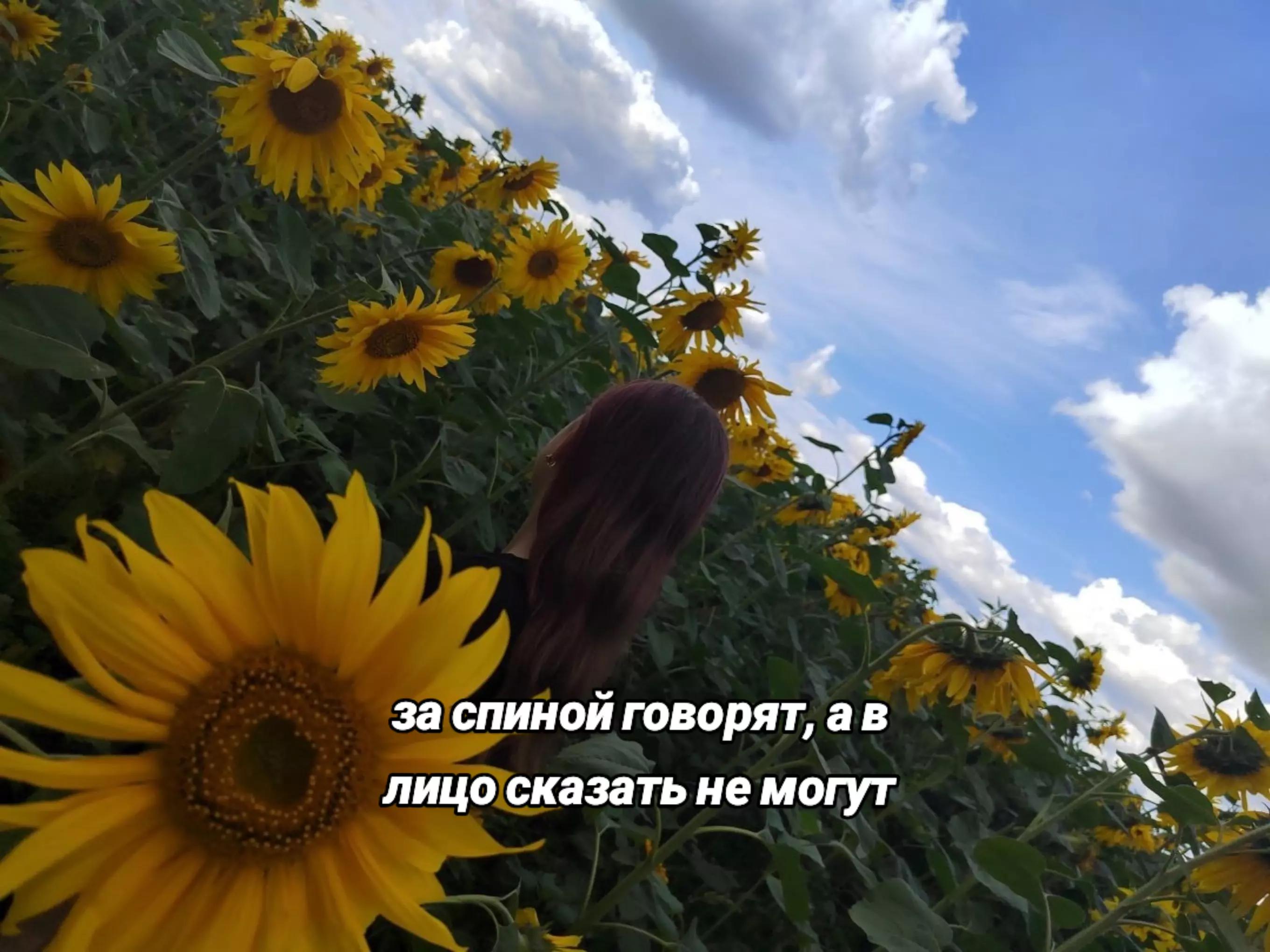 @‧͙⁺˚𝘈𝘮𝘮𝘮𝘪𝘯𝘢🪽