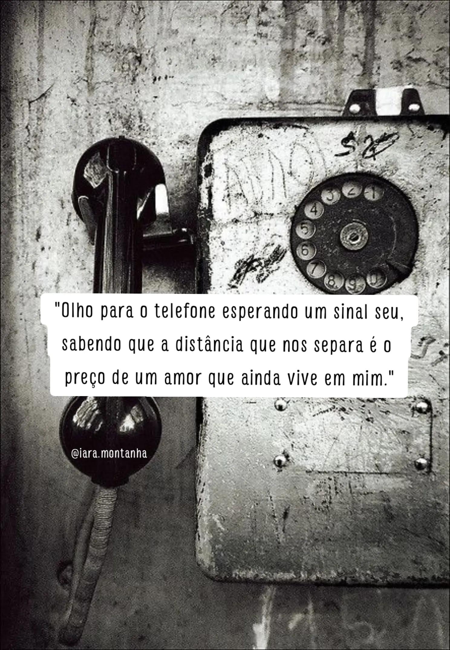 @IARA GIRASSOL