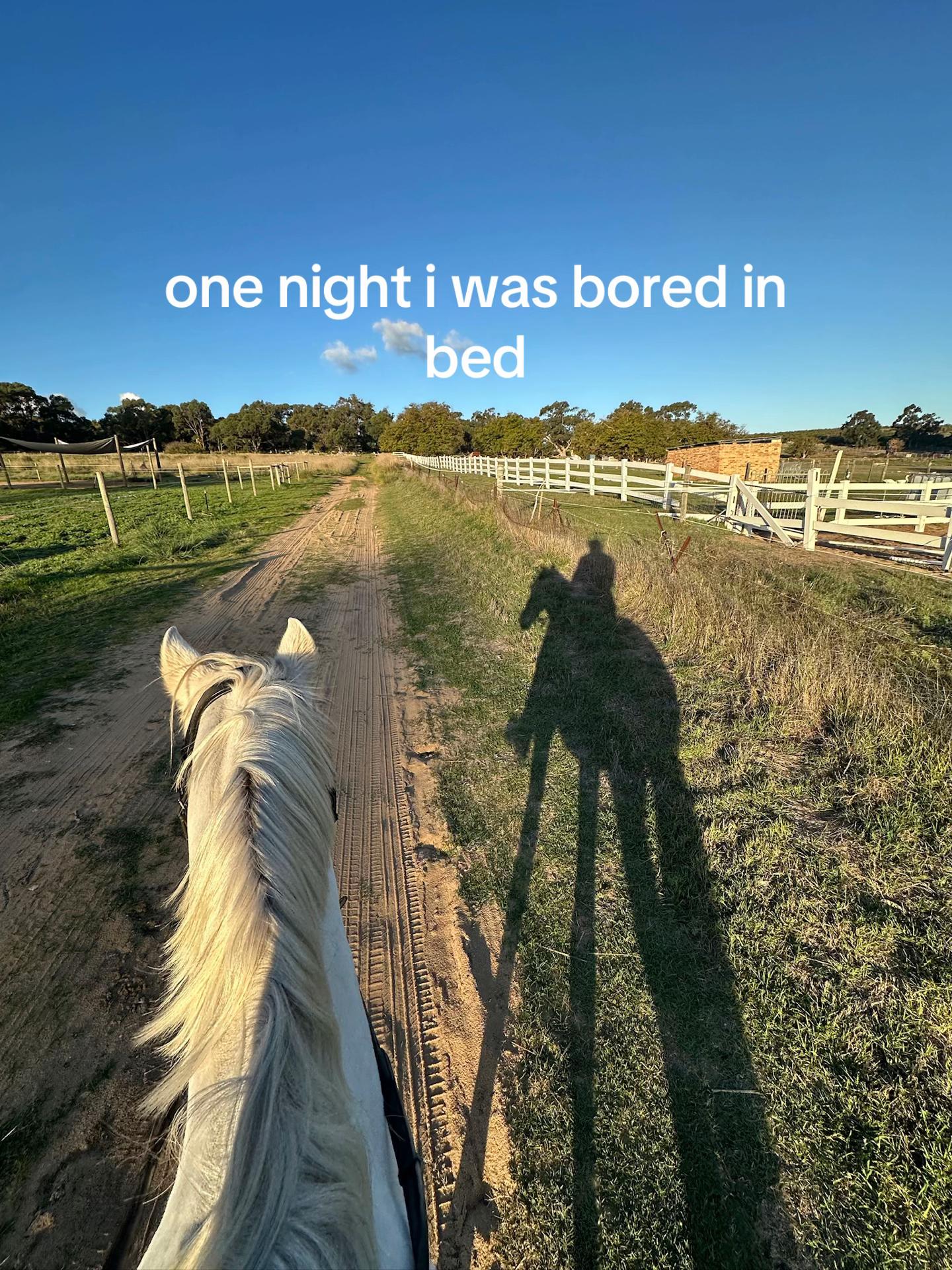 @Kyla & Archie 💜