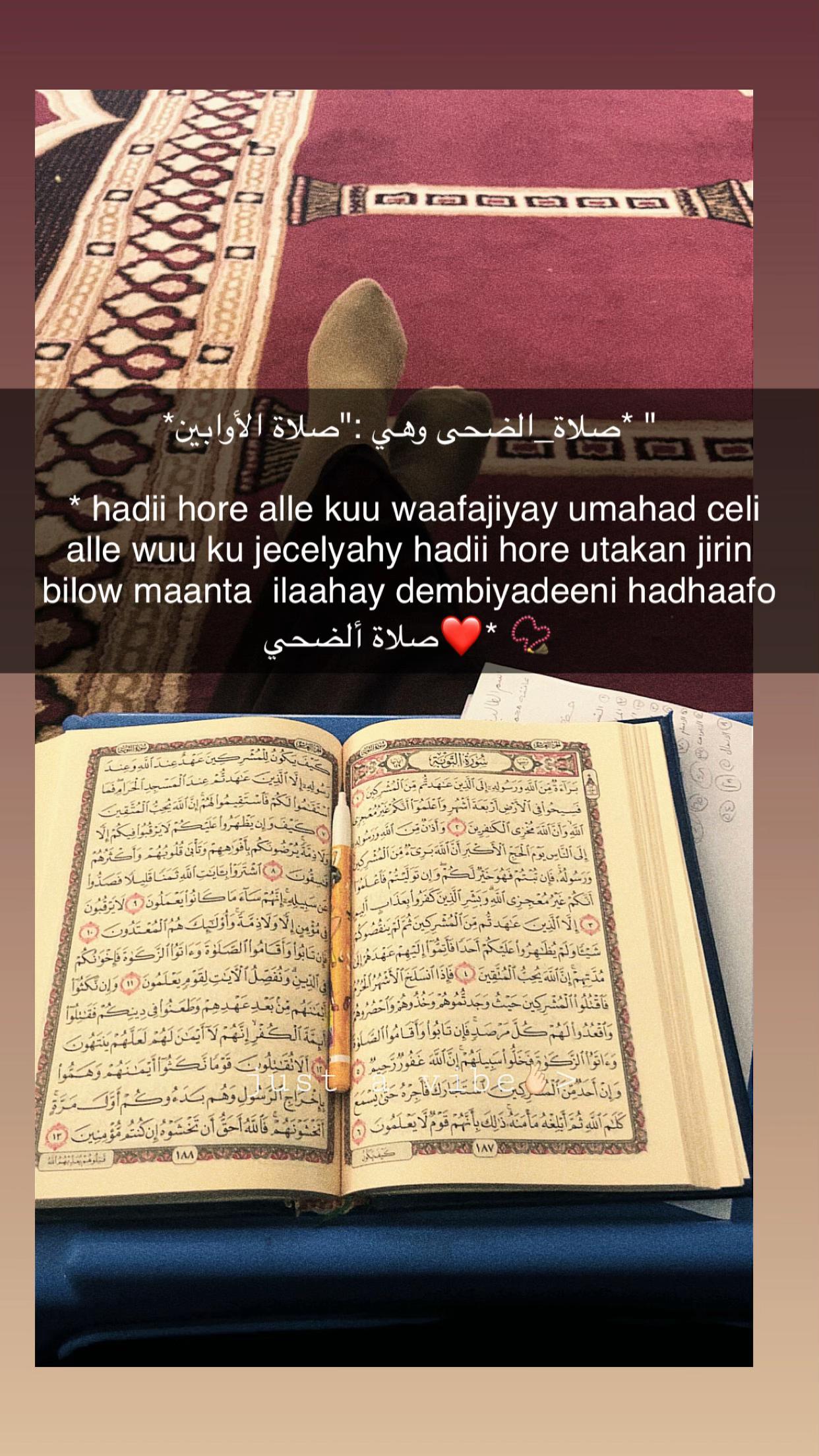 @Arwo~Abshir