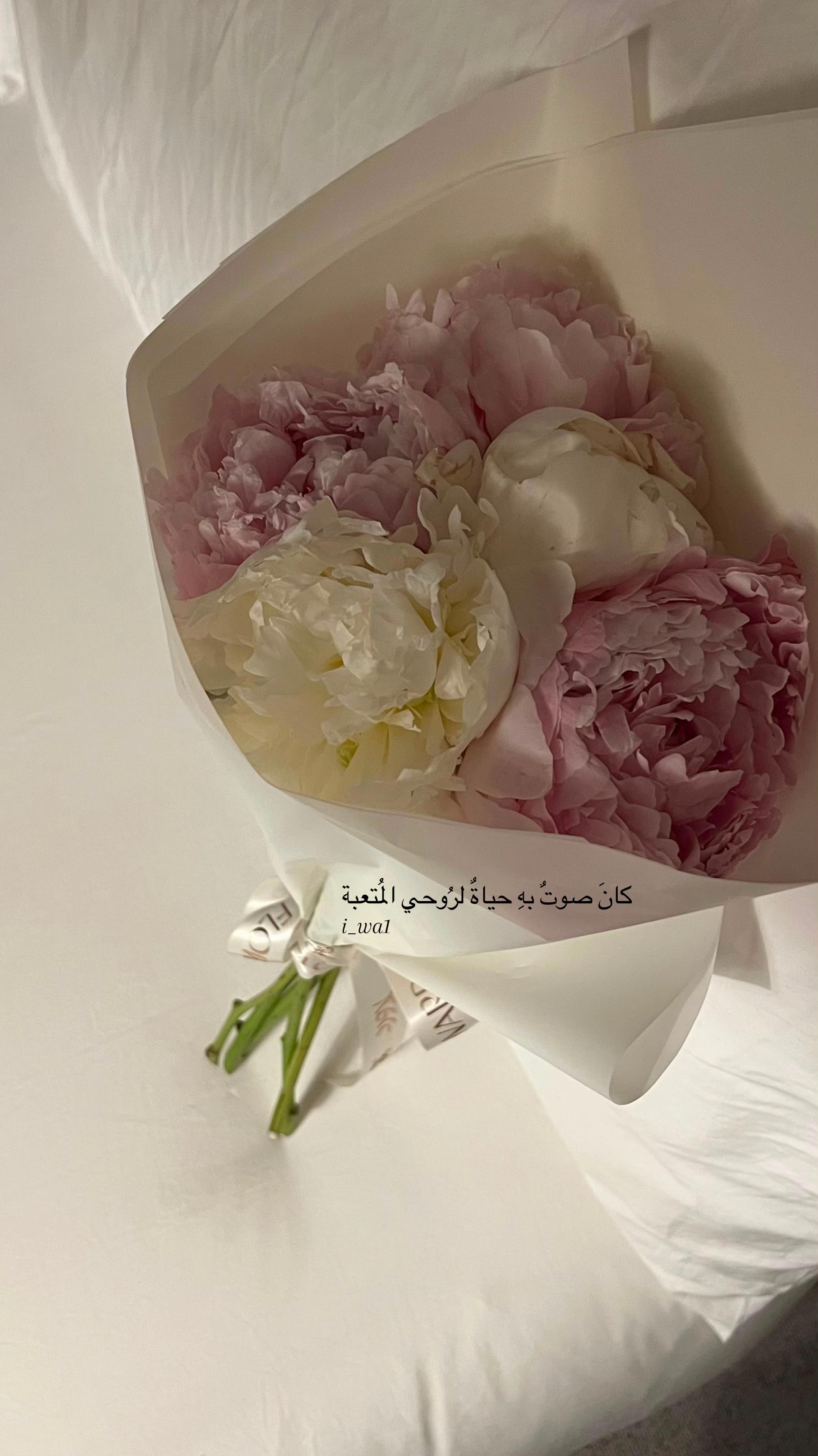 @وفاء🦋