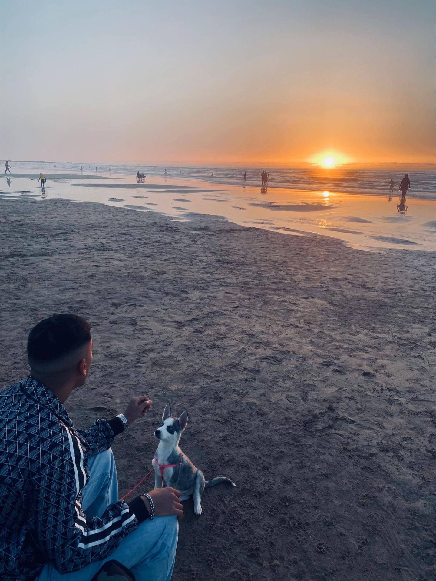@عالم الكلاب و الحمام🕊️🐕