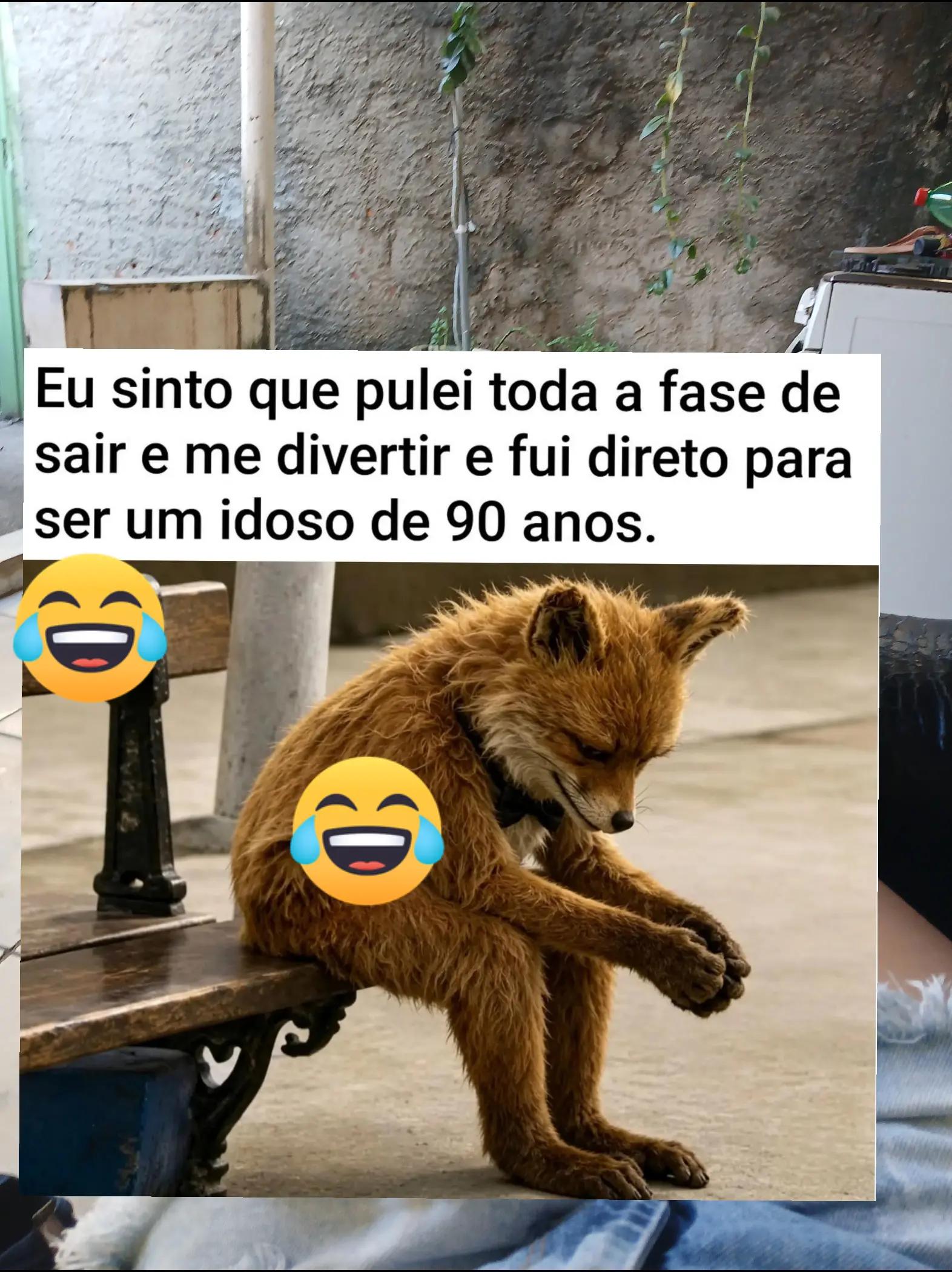 @humor da Célia 🤣