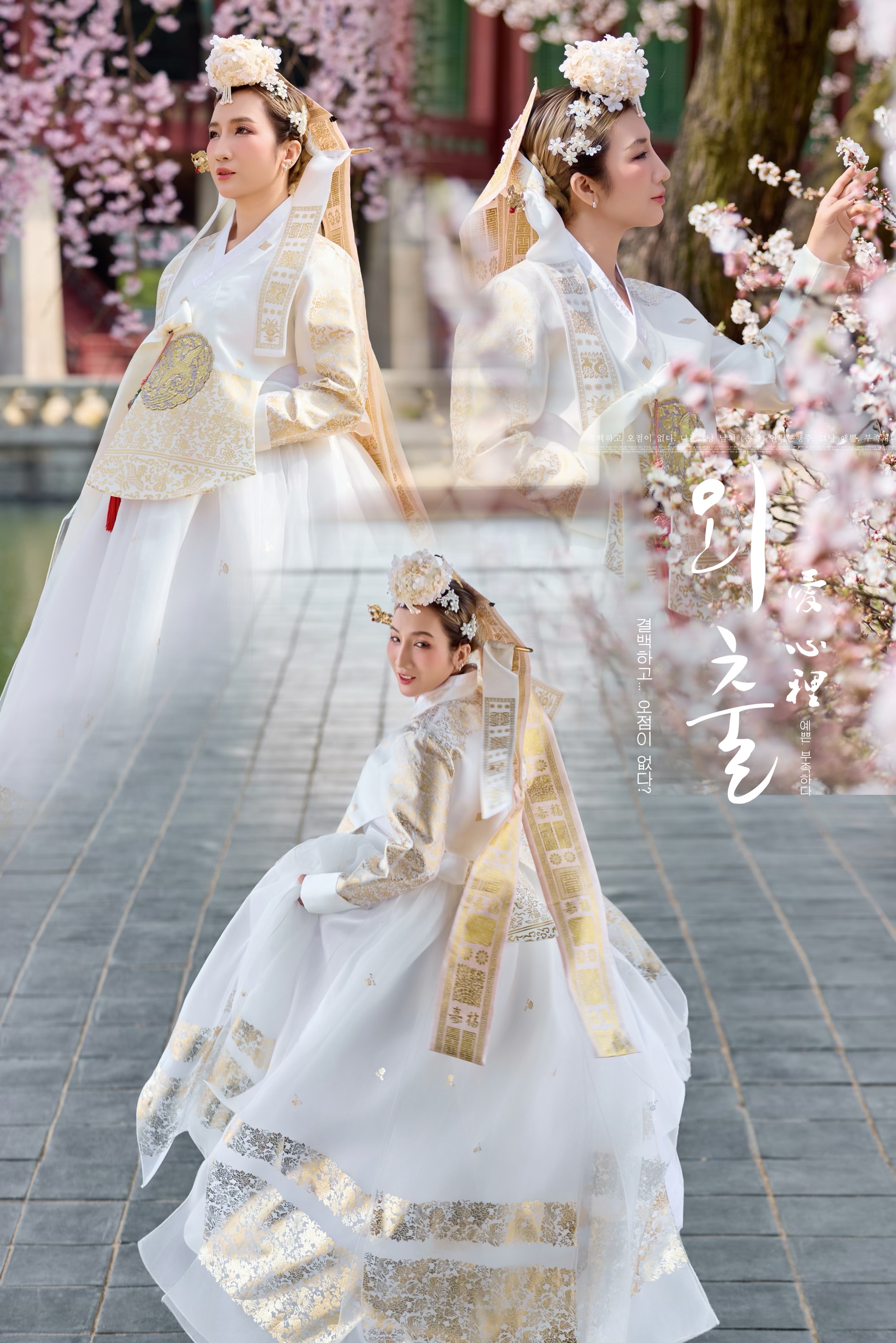@Cao T&ugrave;ng Photo Korea 📸