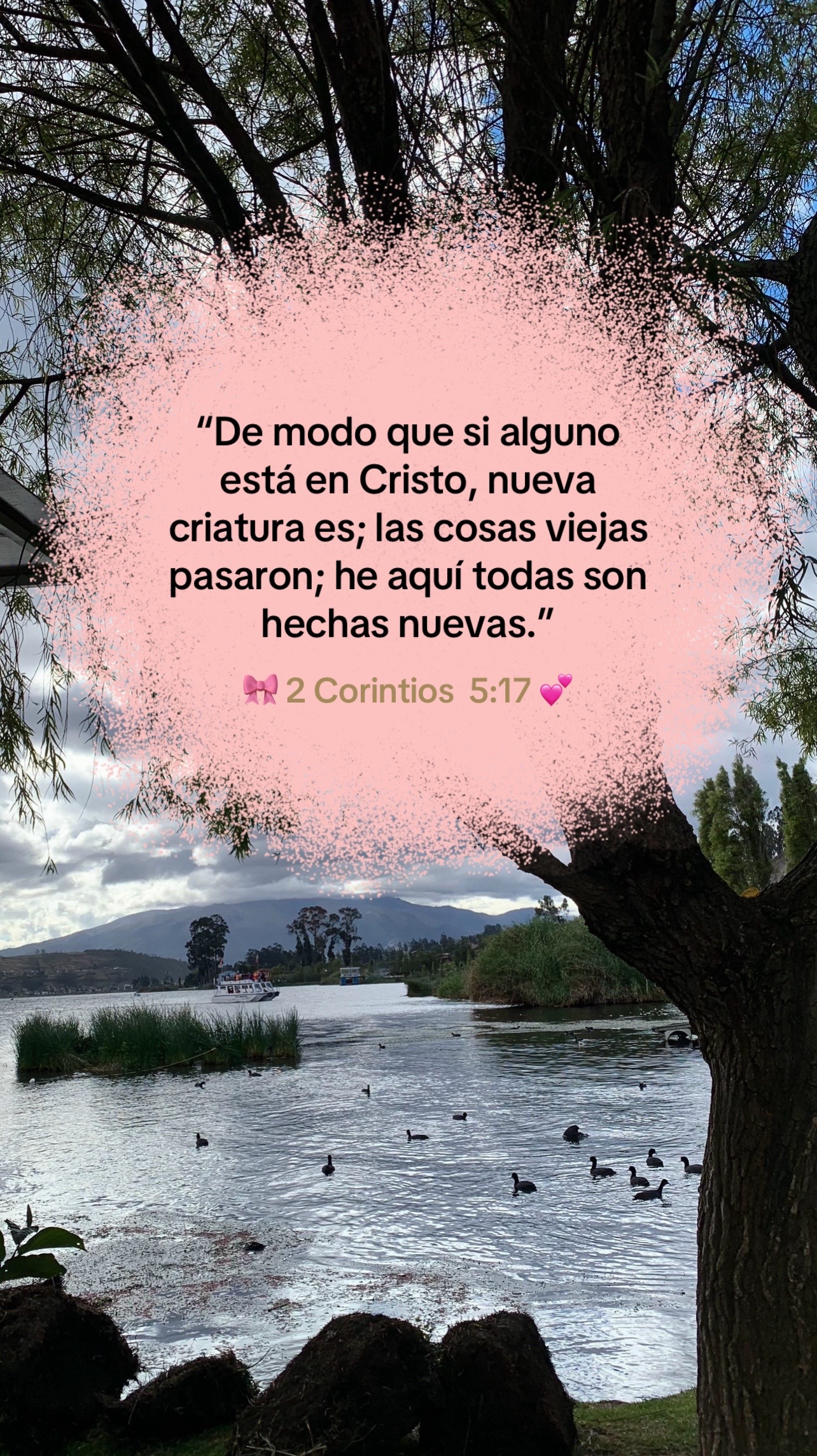 @𝓔𝓿𝓮𝓵𝔂𝓷🌷