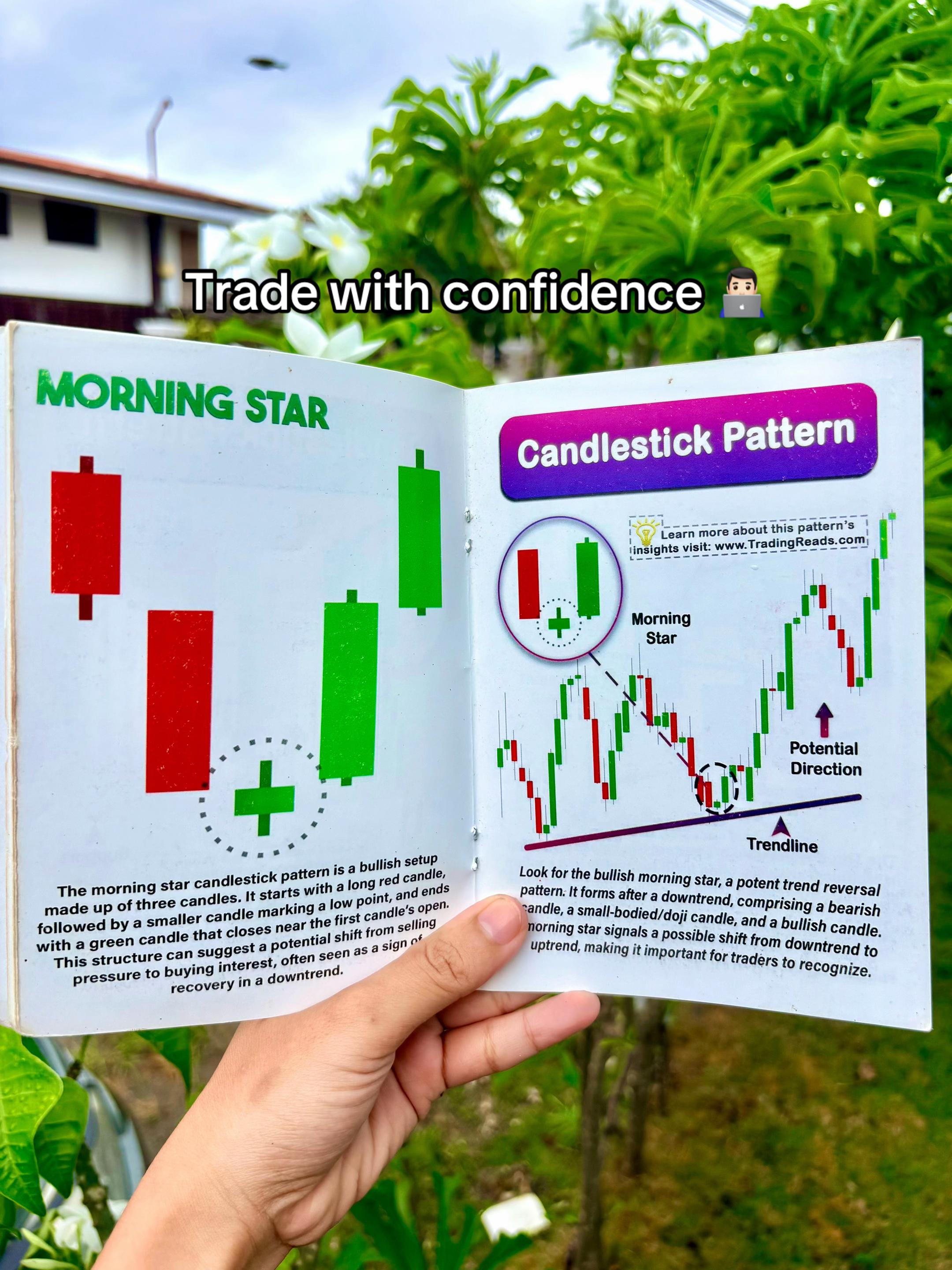 @TheSillyTrader