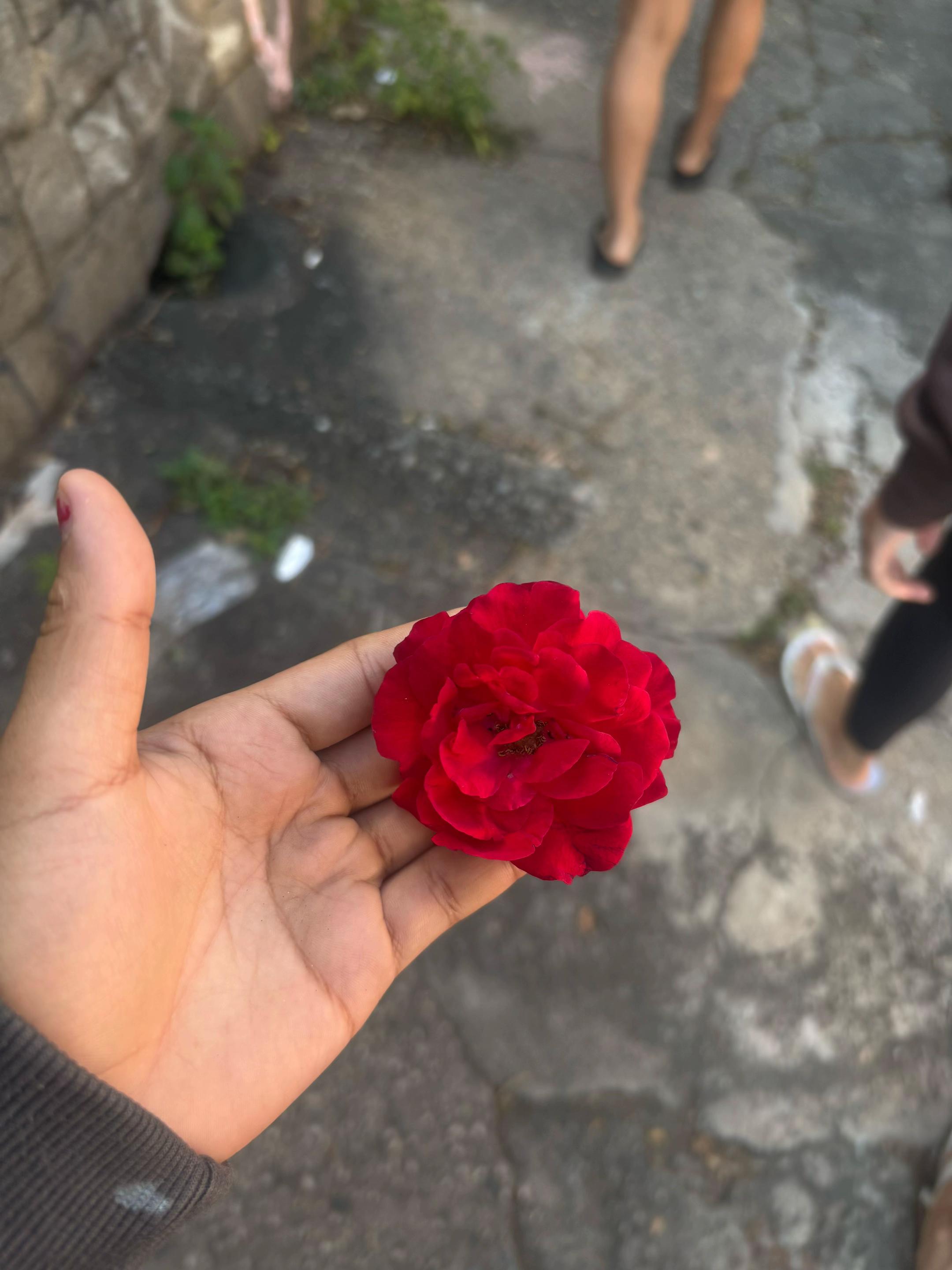 @yrbjw