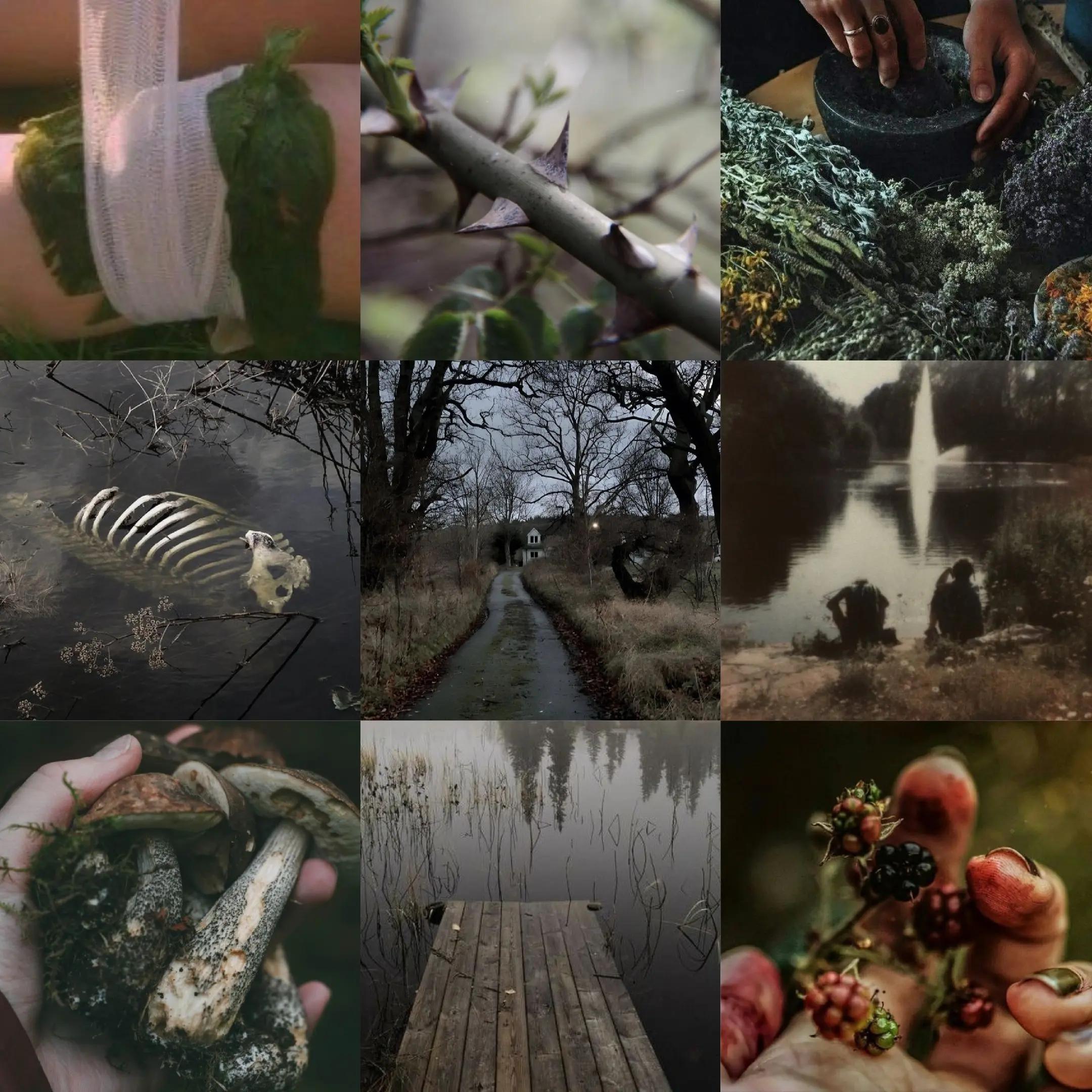 @𝐓𝐮𝐭𝐮𝐦 🍂