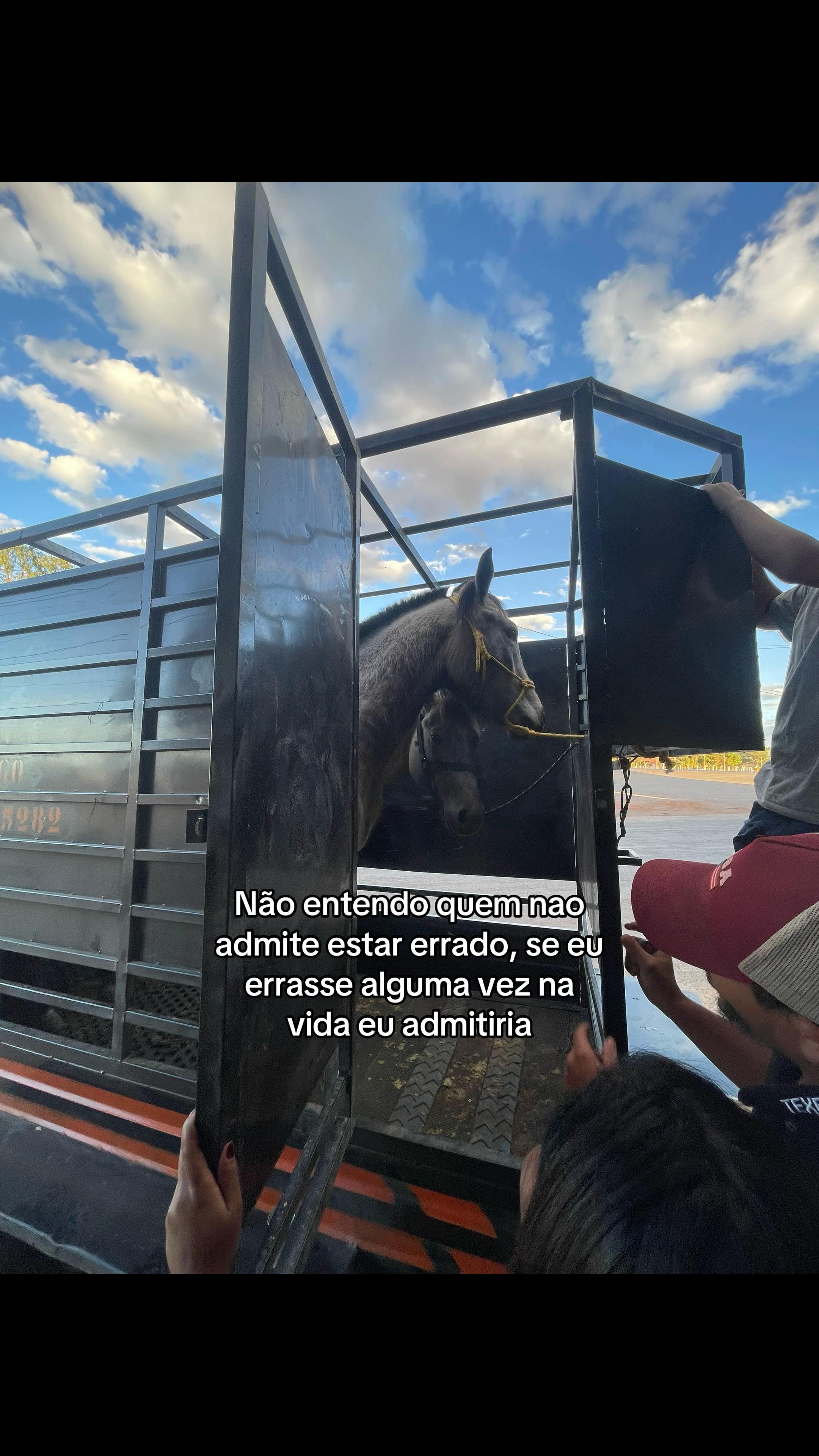 @Guga da Maia