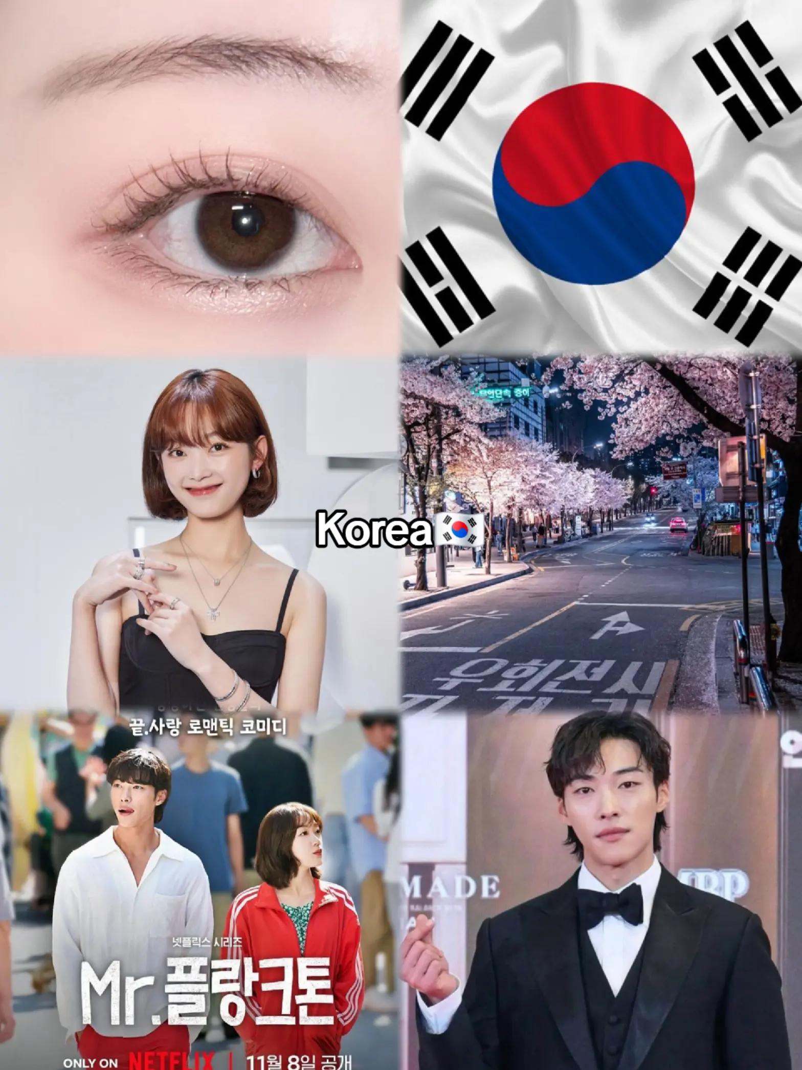 @✨한국