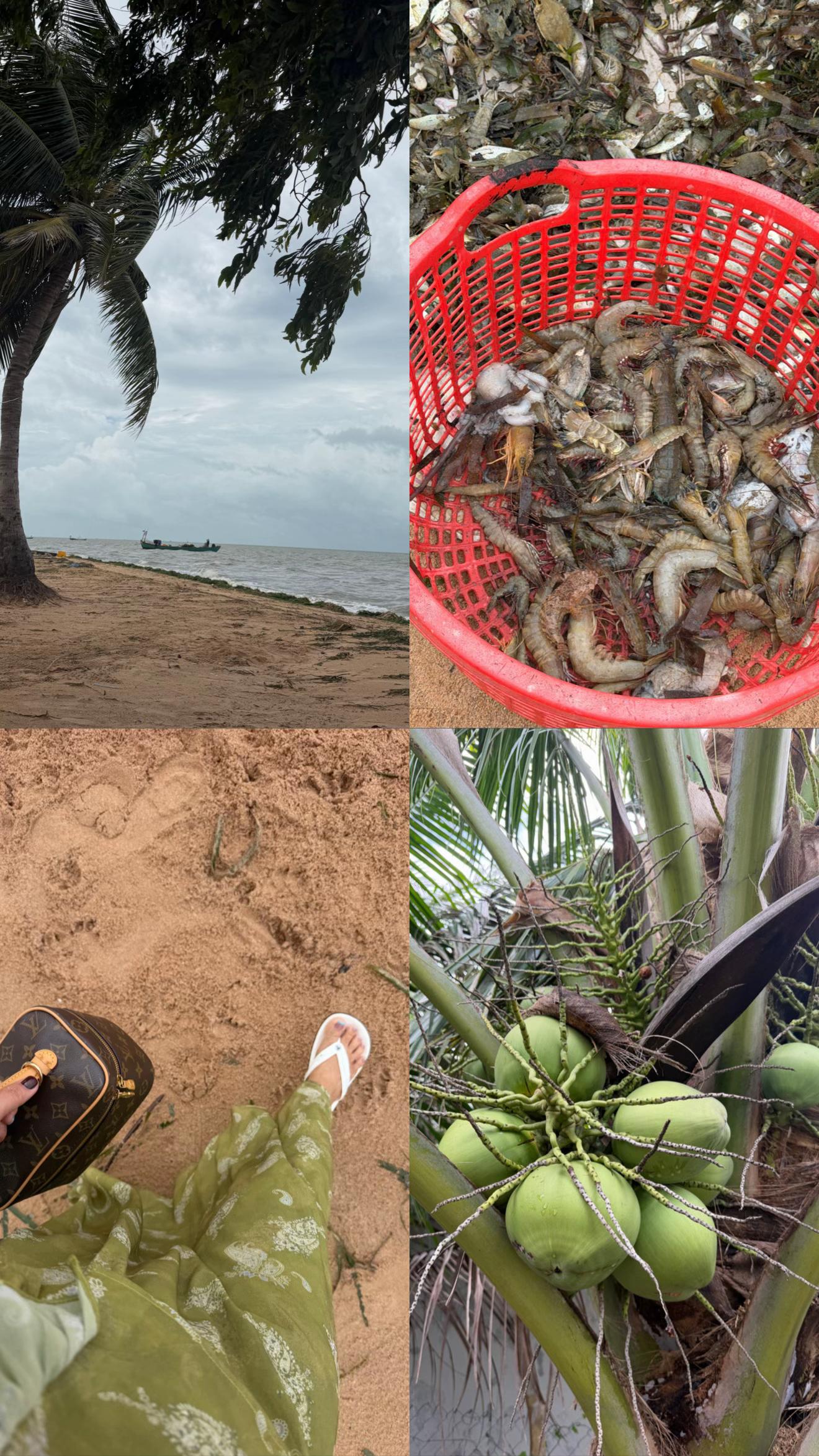 @អ្នកមីង🇰🇭