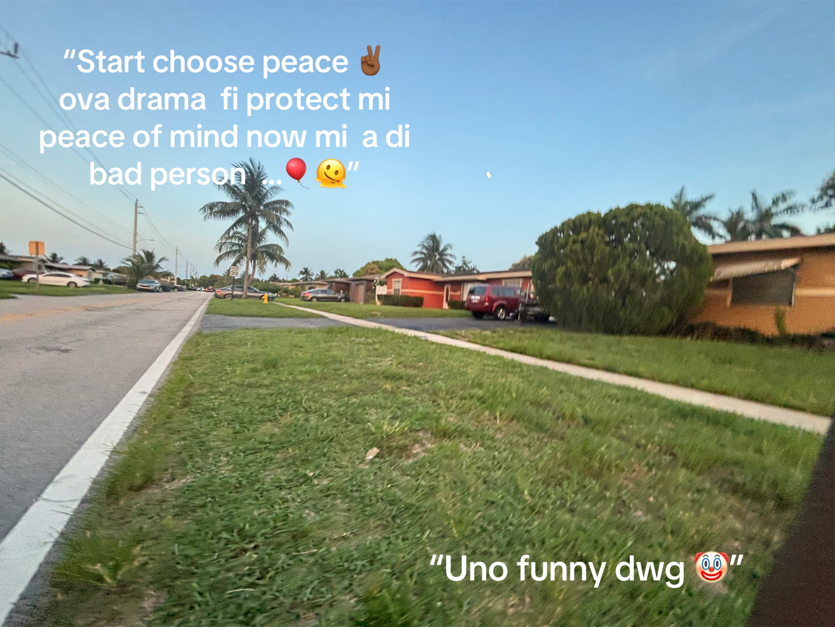 @Zapp_em⚡️🐇