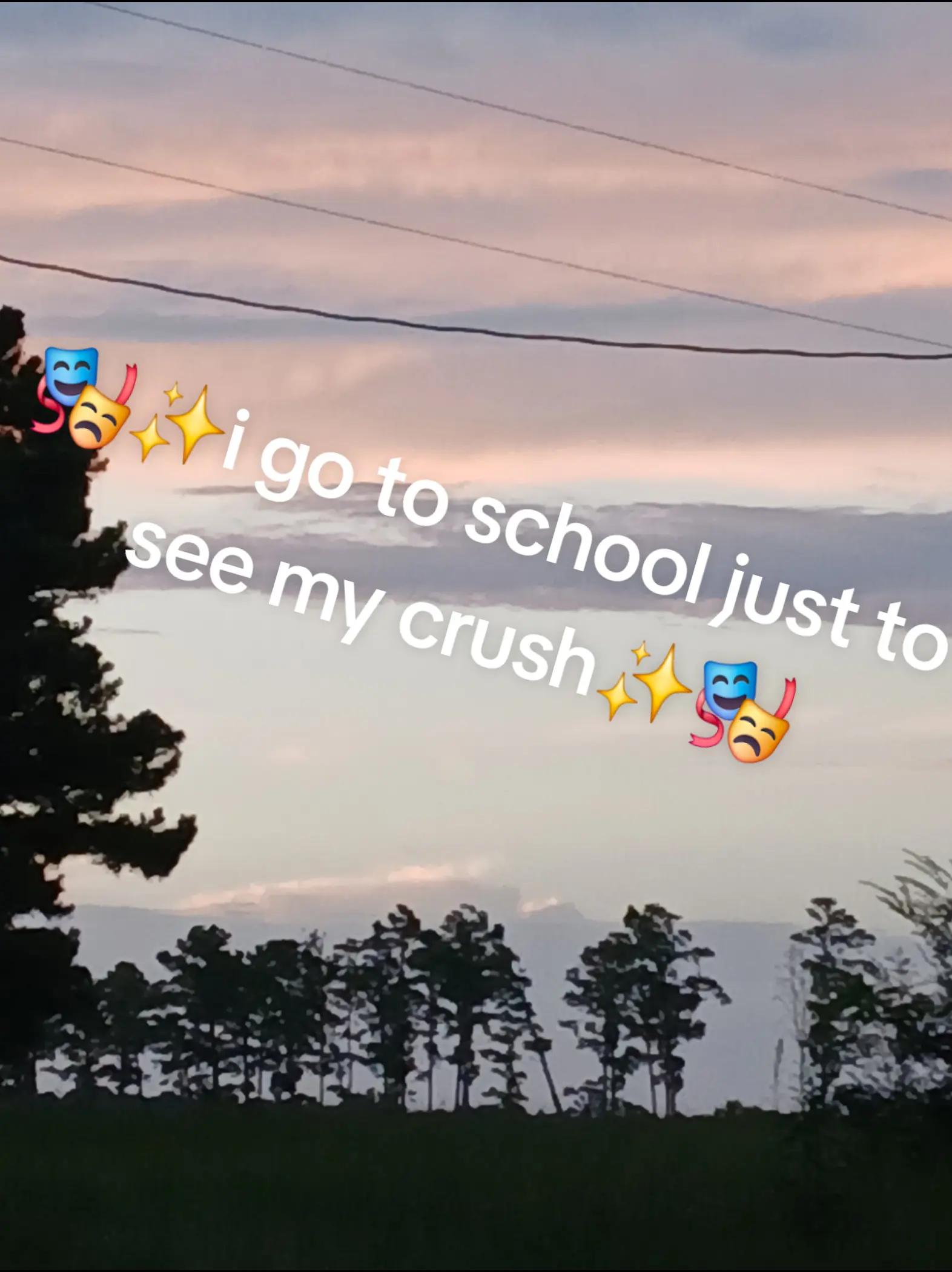 @maybe_presley👀