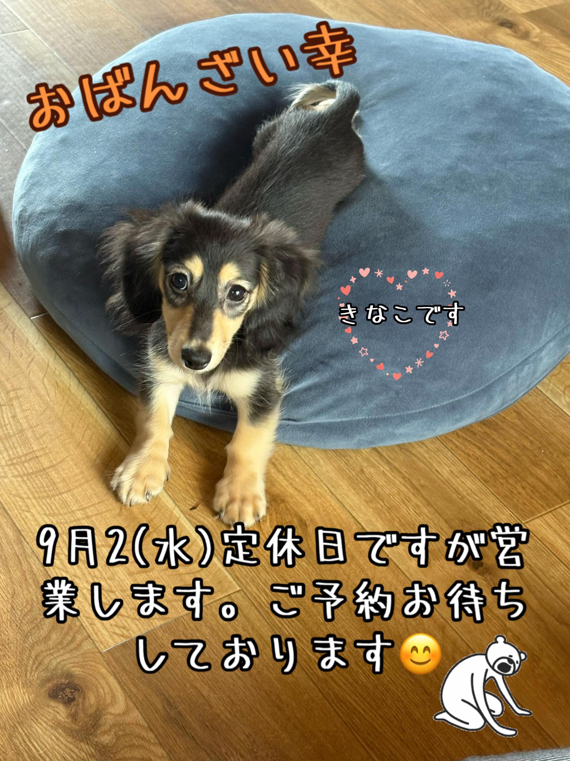 @おばんざい幸(さち)