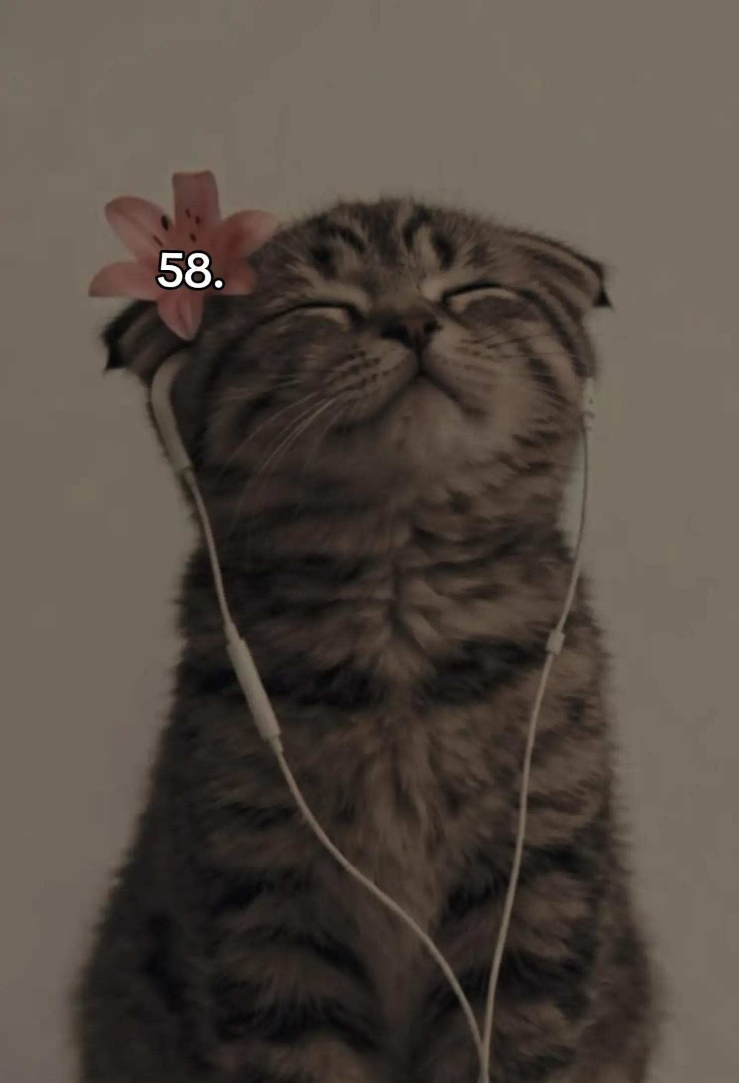 @⊙⊝⊜Jully⟭⟬⁷