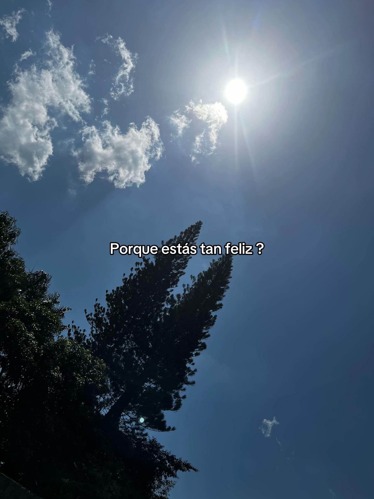 @ℒ𝓊𝒾𝓈 ℛ𝒾𝒸𝒶𝓇𝒹ℴ 🫅🏻
