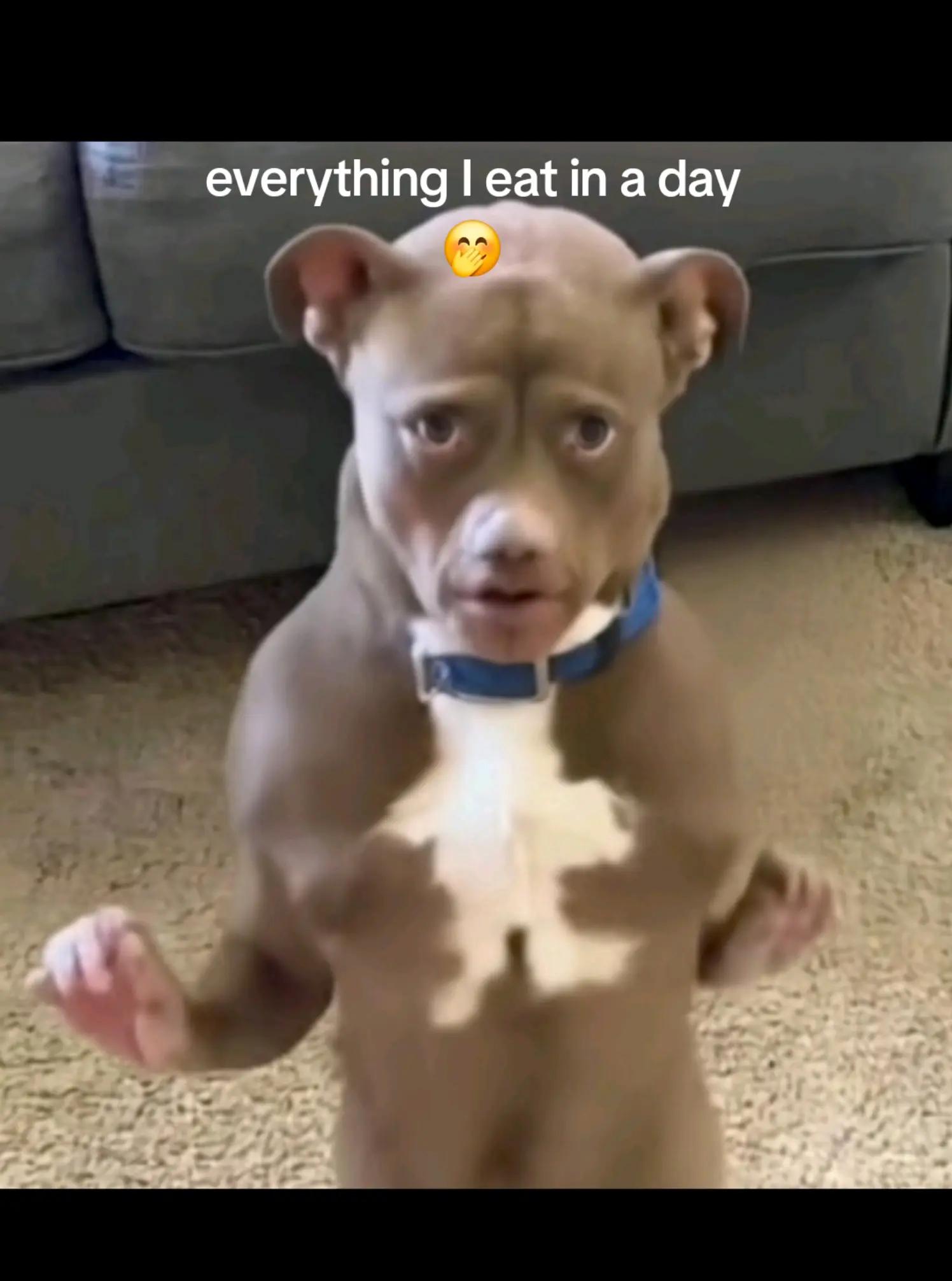 @The.Third.Scroll