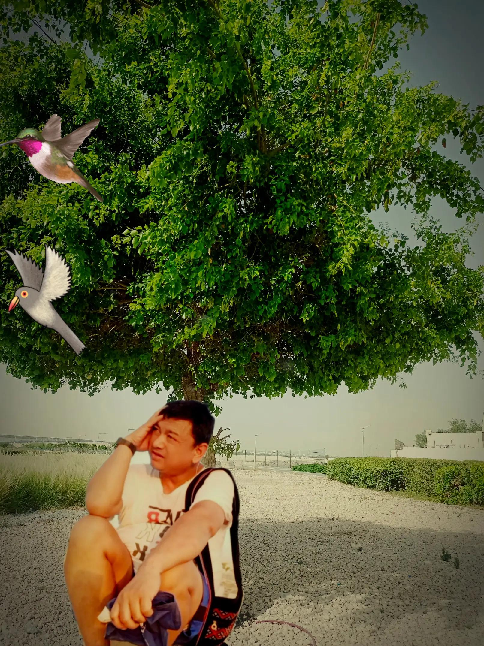 @@CHHABIN G.C.