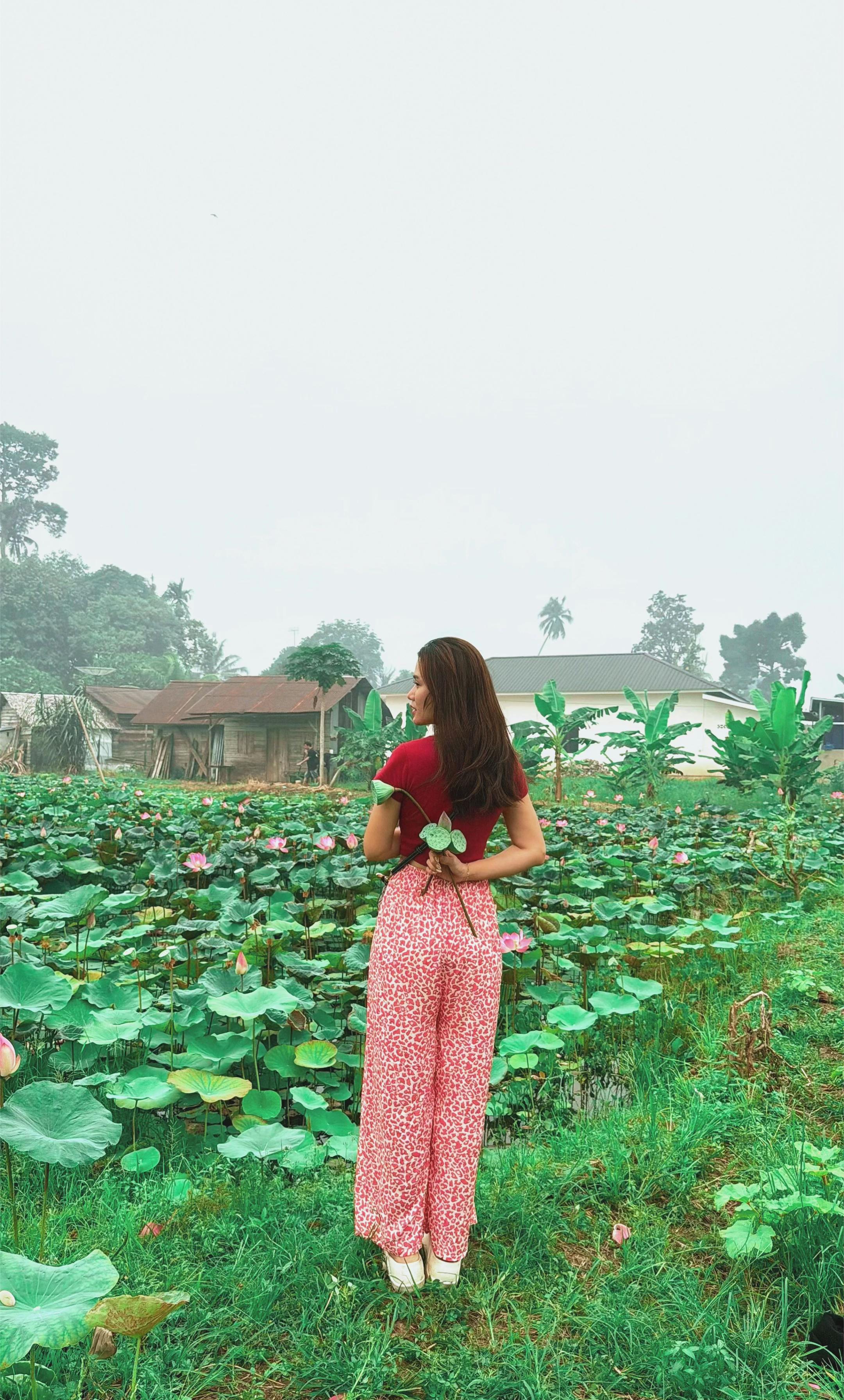@Kota Amoy