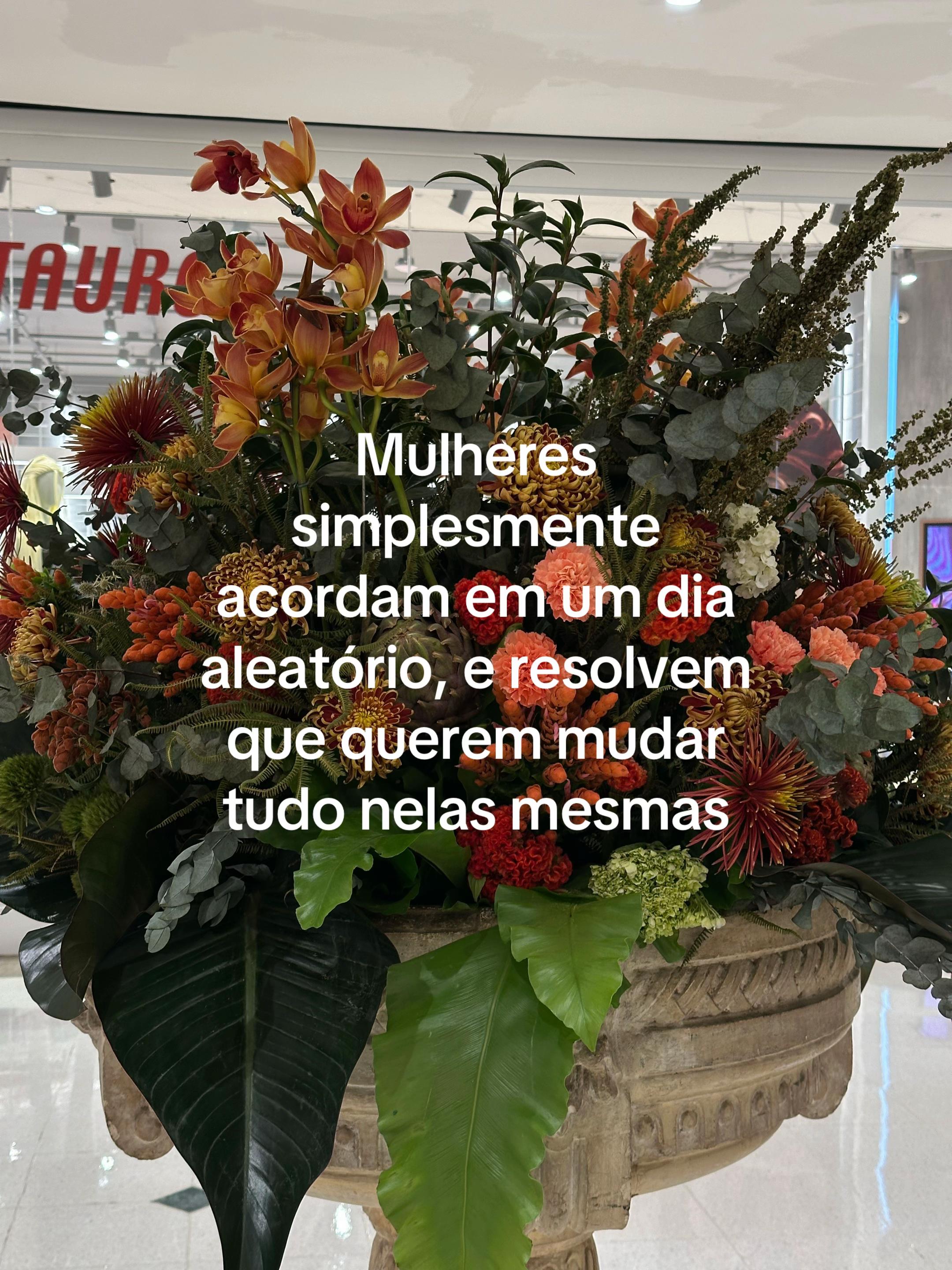 @laininha_leitora