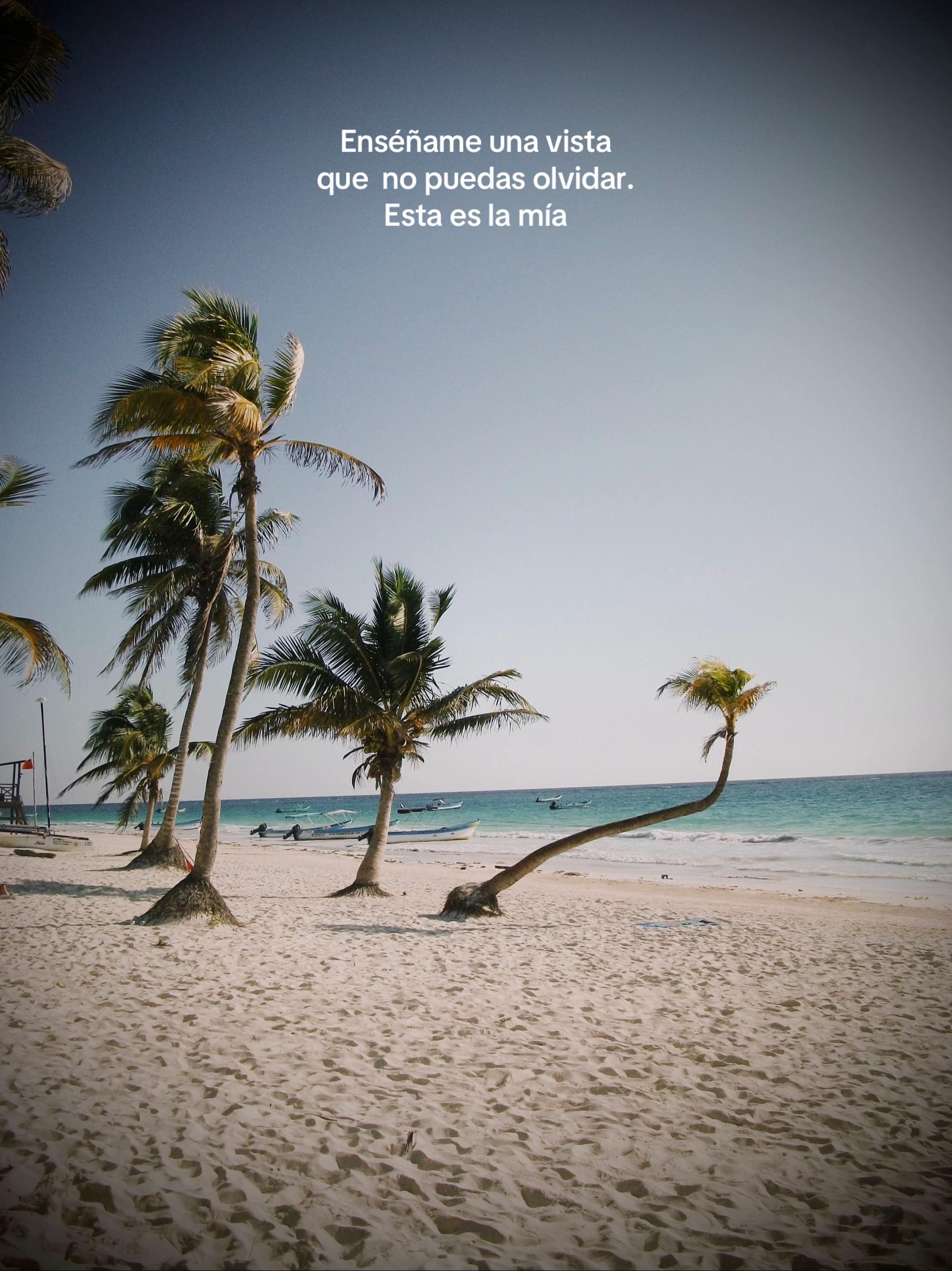 @México Traveler