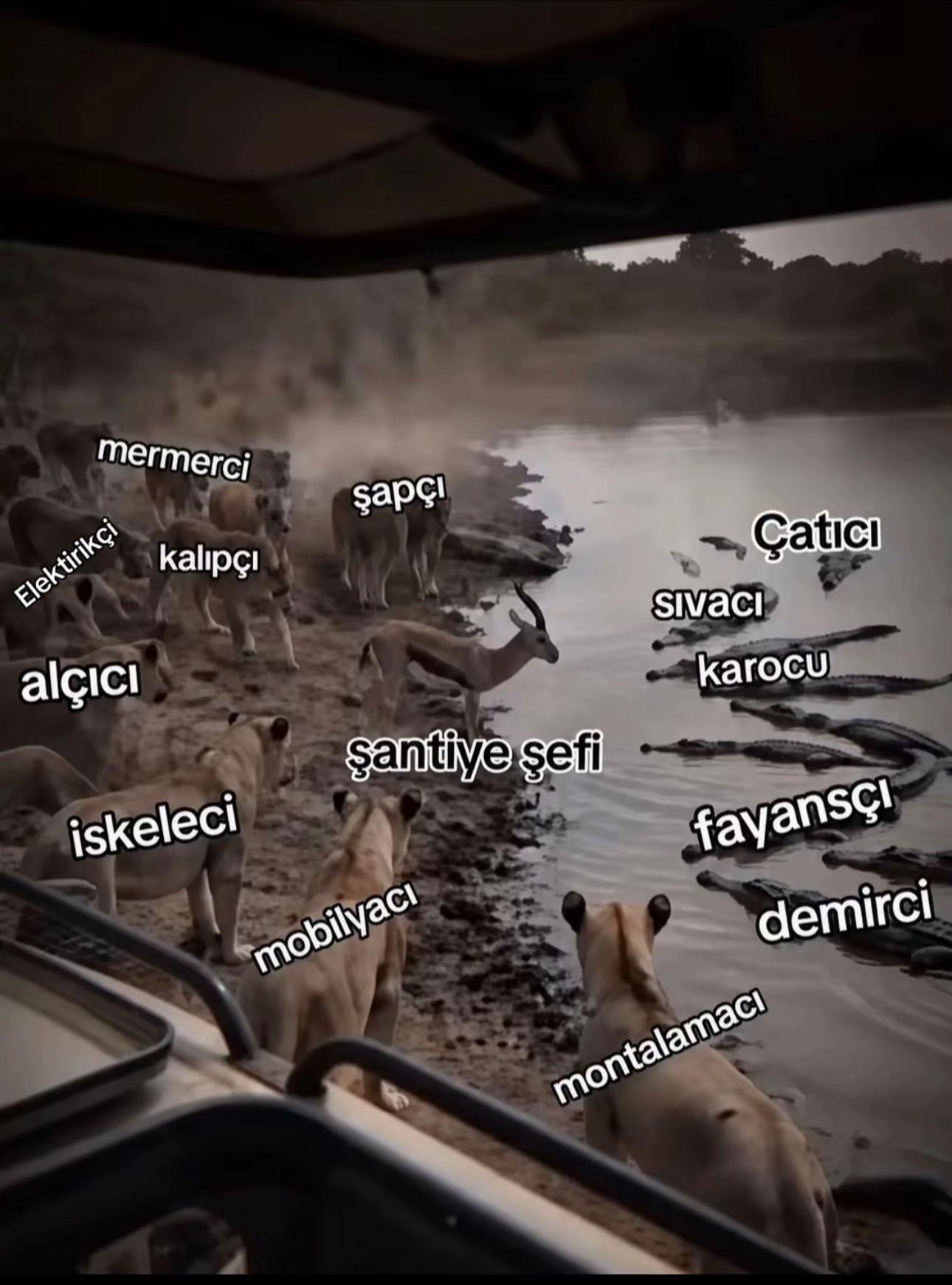 @yldrykilic44