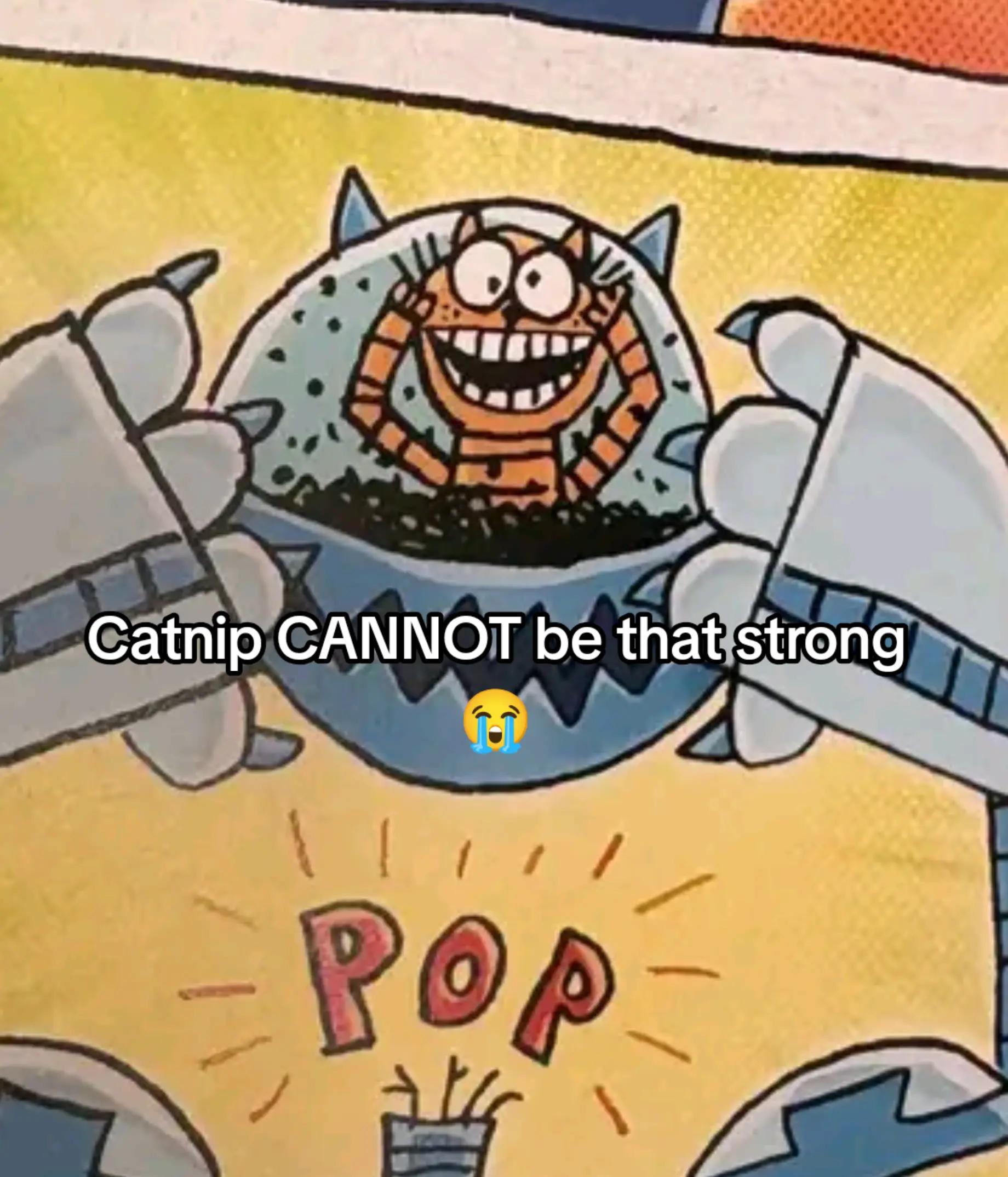 @ℜ𝔪𝔟𝔨 ☠︎💮