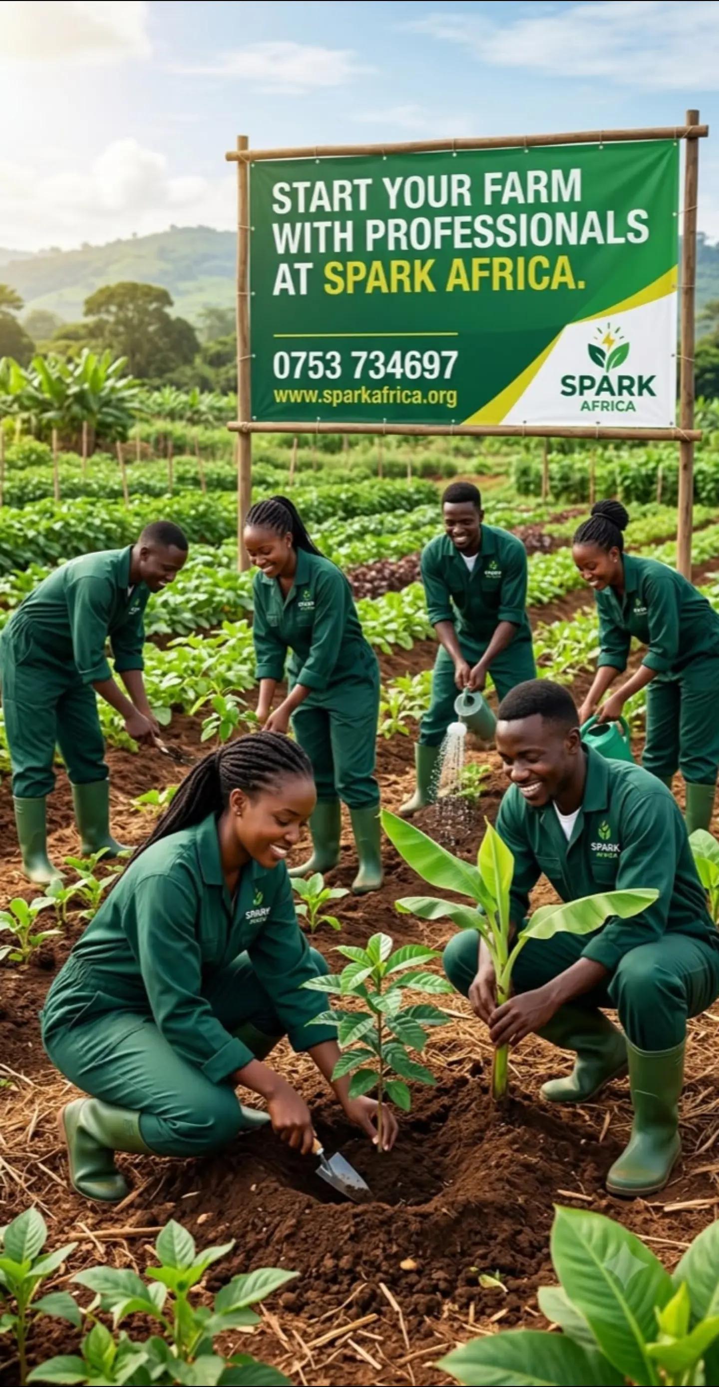 @SPARK AFRICA 1
