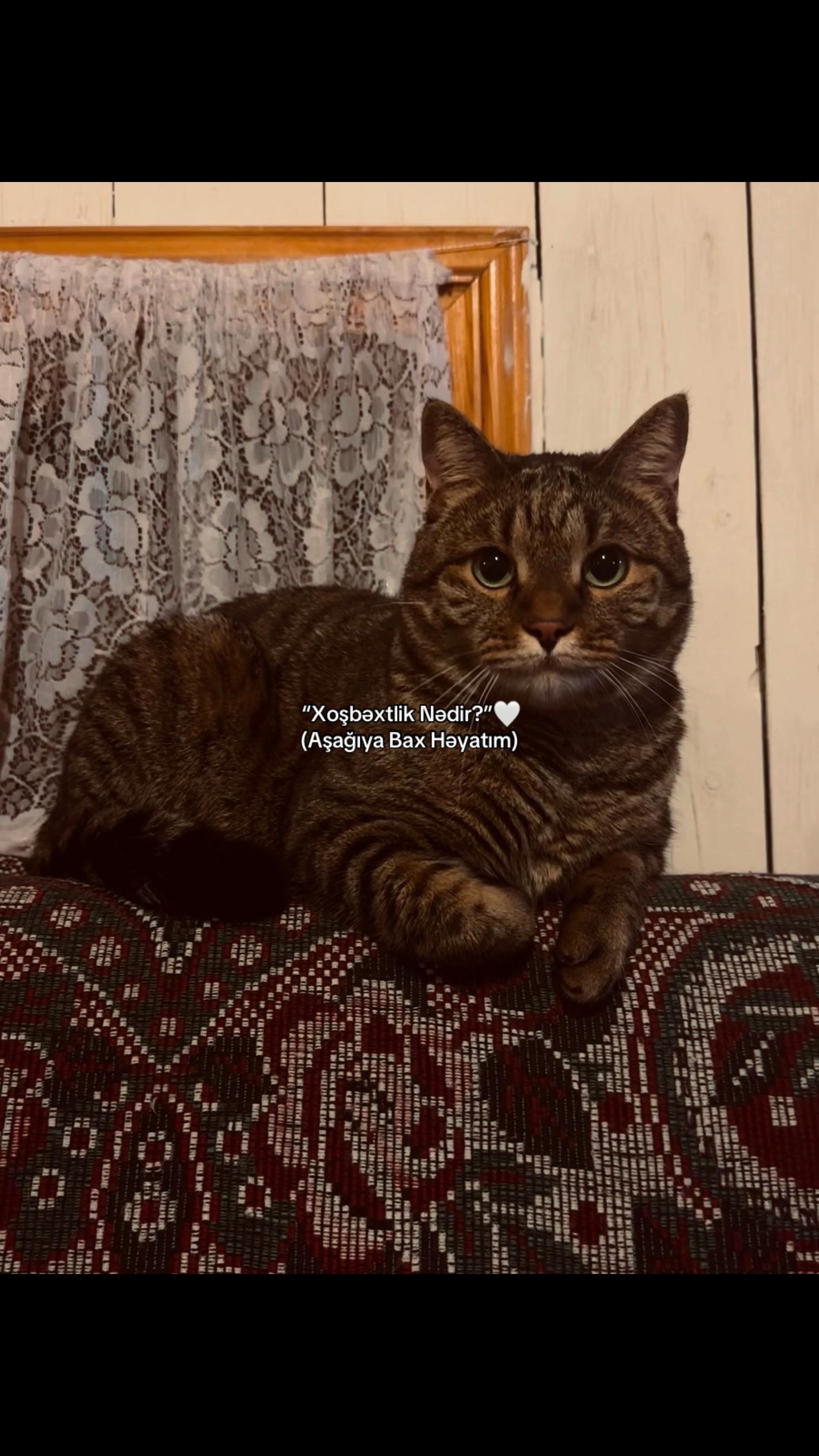 @𝐅𝐚𝐦𝐢𝐥❤️&zwj;🩹🩹