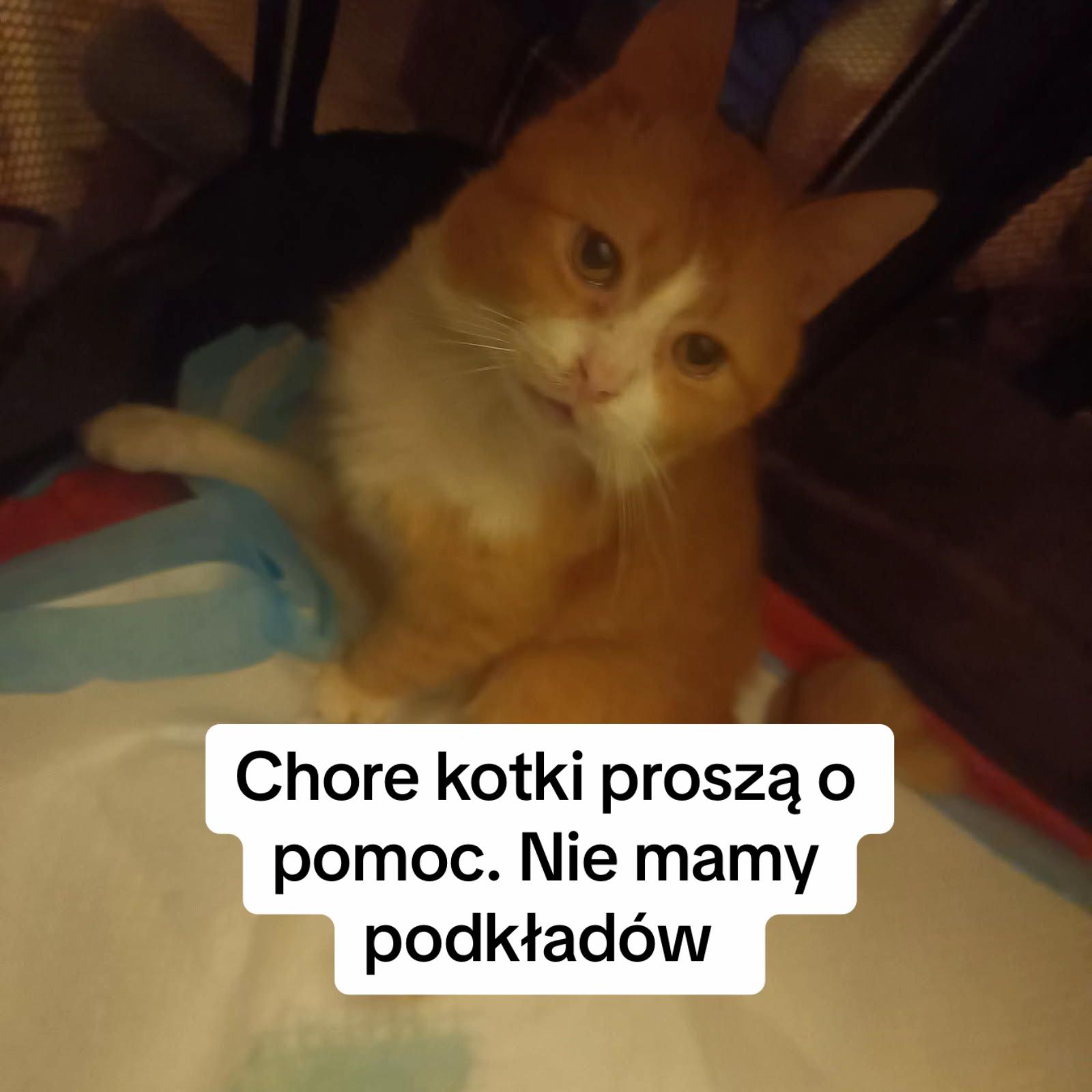 @Ratujemy