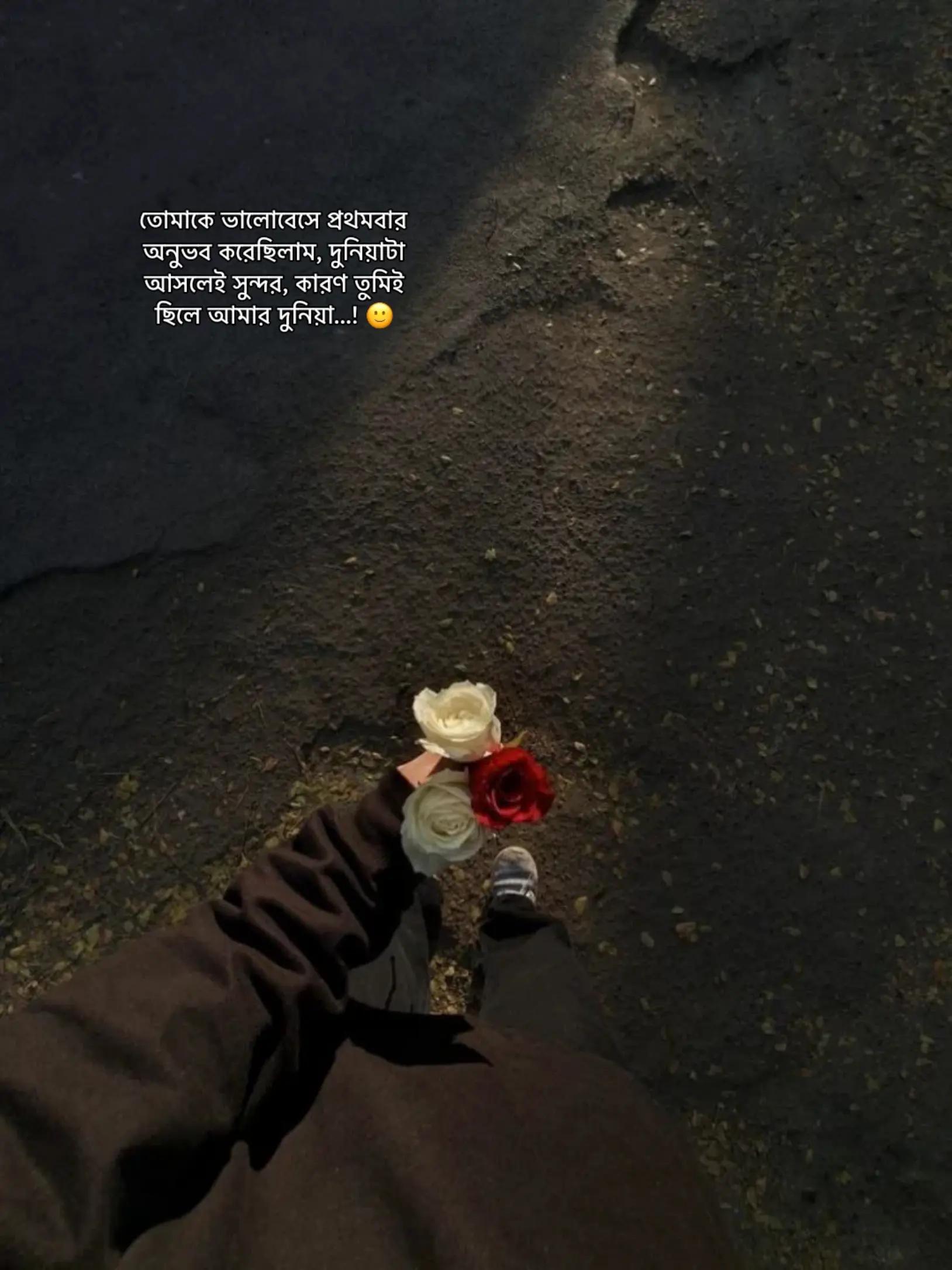 @𝗣𝗮𝗿𝗶𝘇𝗮𝗮𝗱 - ラトゥル 👑🇧🇩