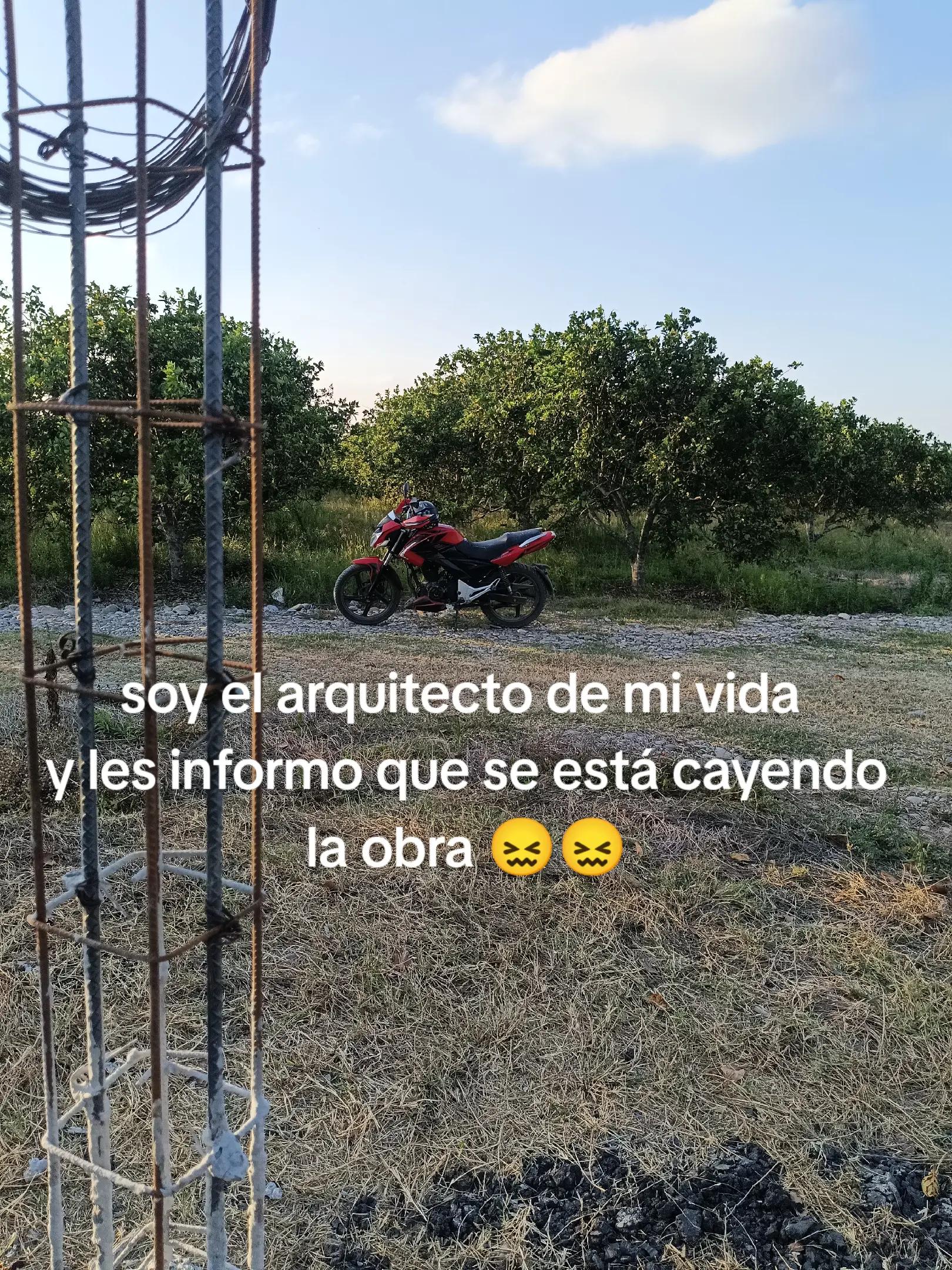 @︻デ🇲🇽P̷a̷l̷e🇲🇽══━一