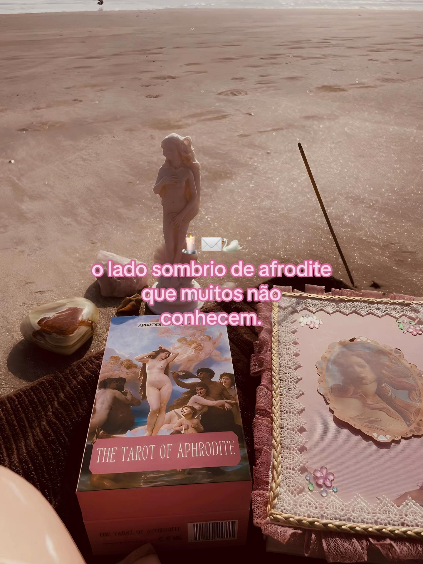 @VENUS ⋆˚꩜。