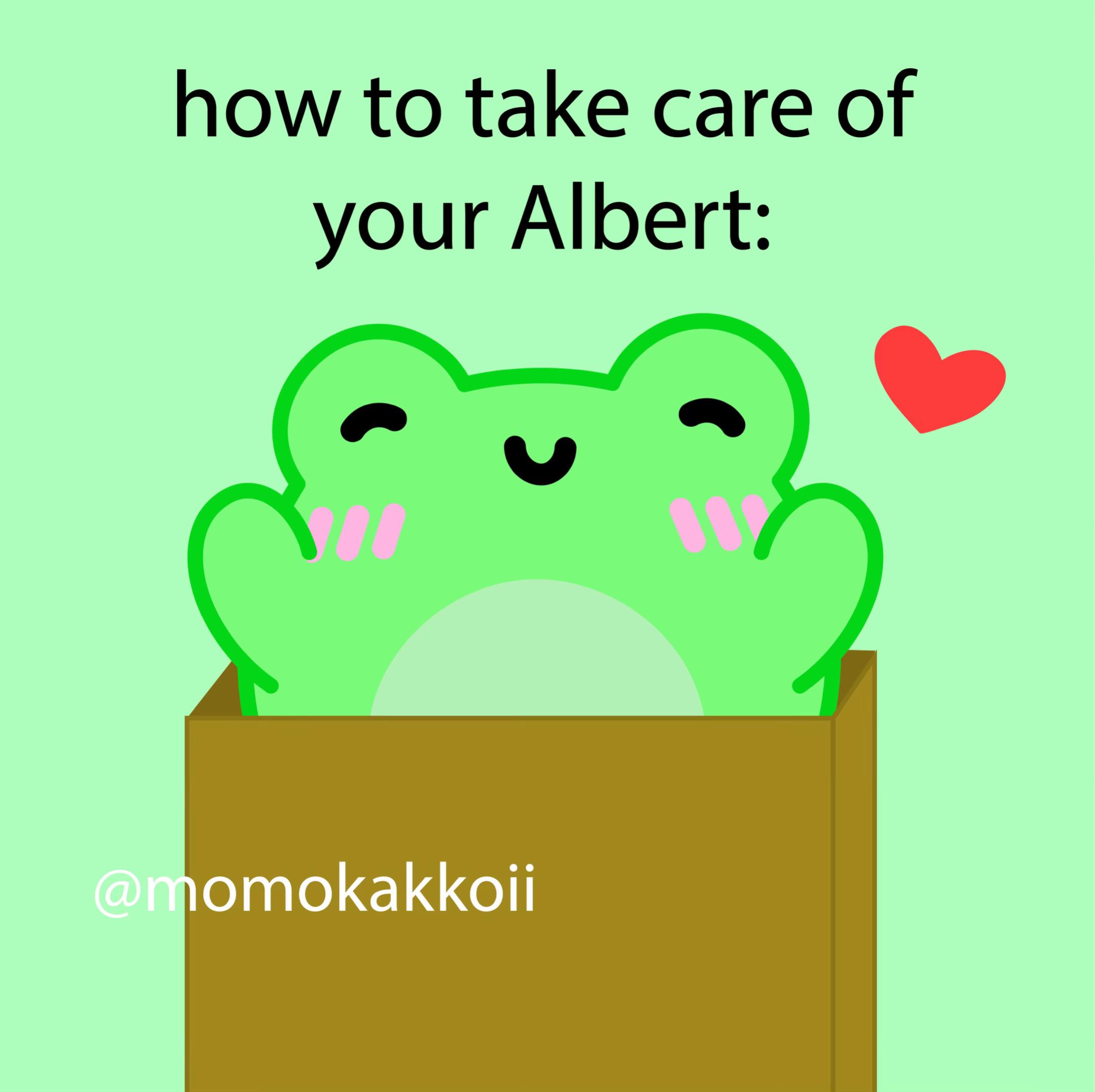 @momokakkoii