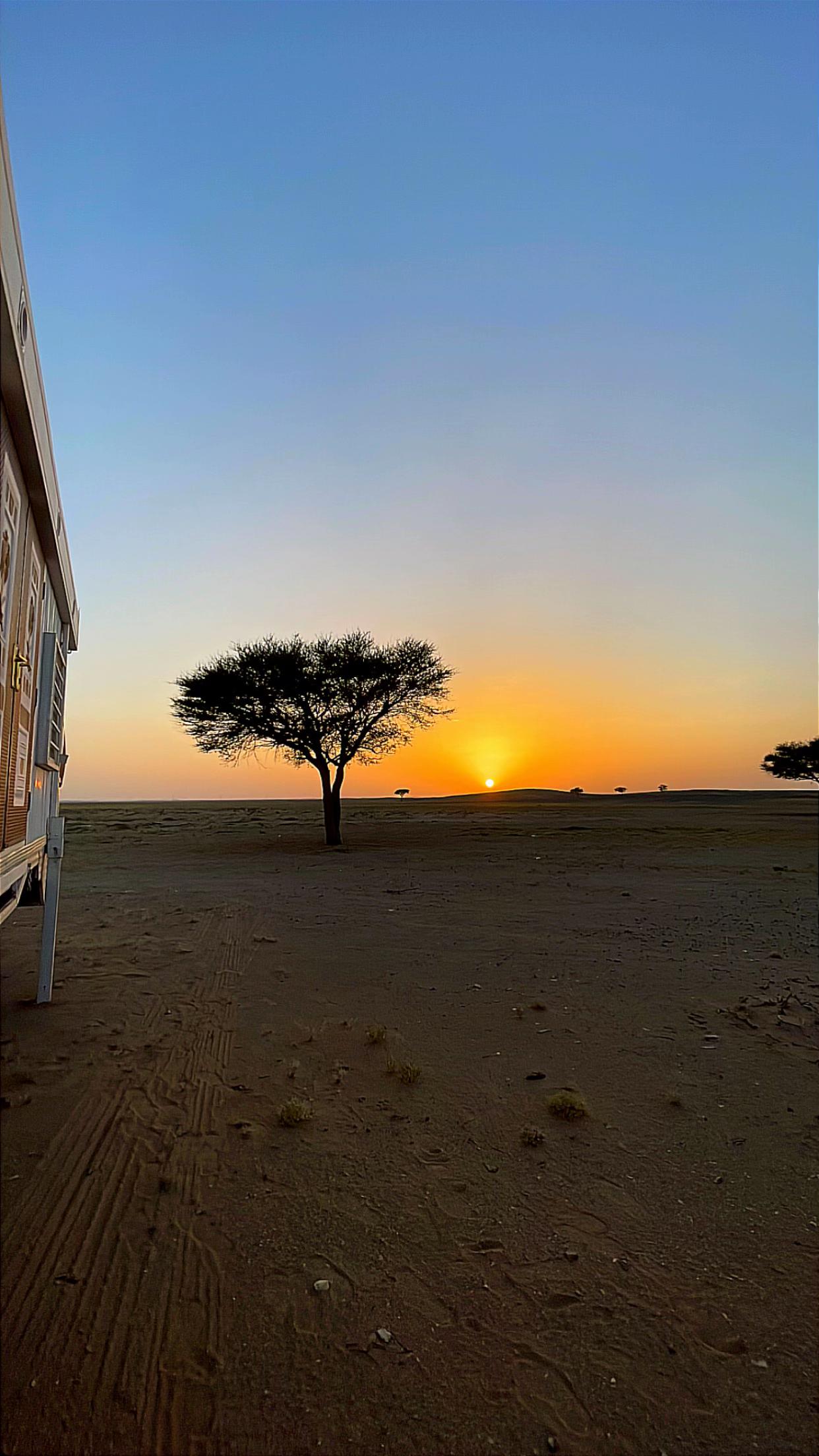 @(﮼صمت ﮼الجرو ح﮼)