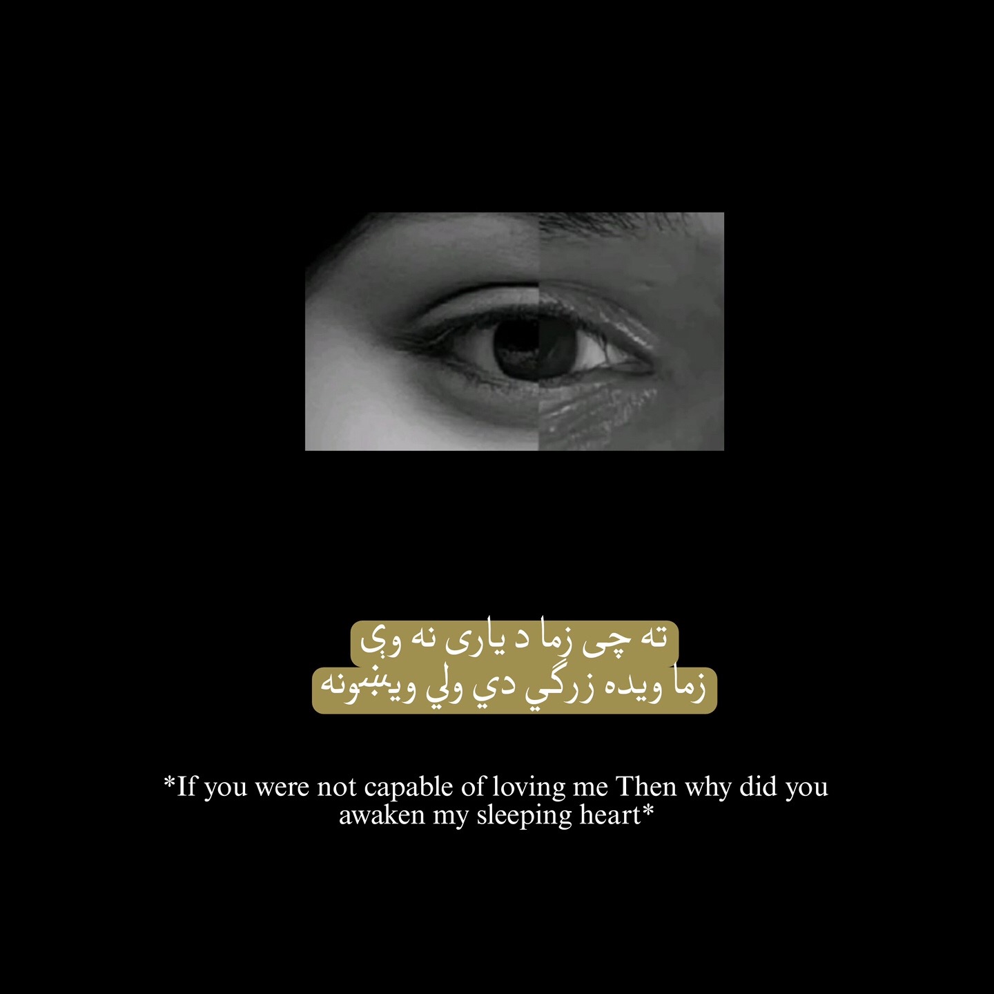 @شَ