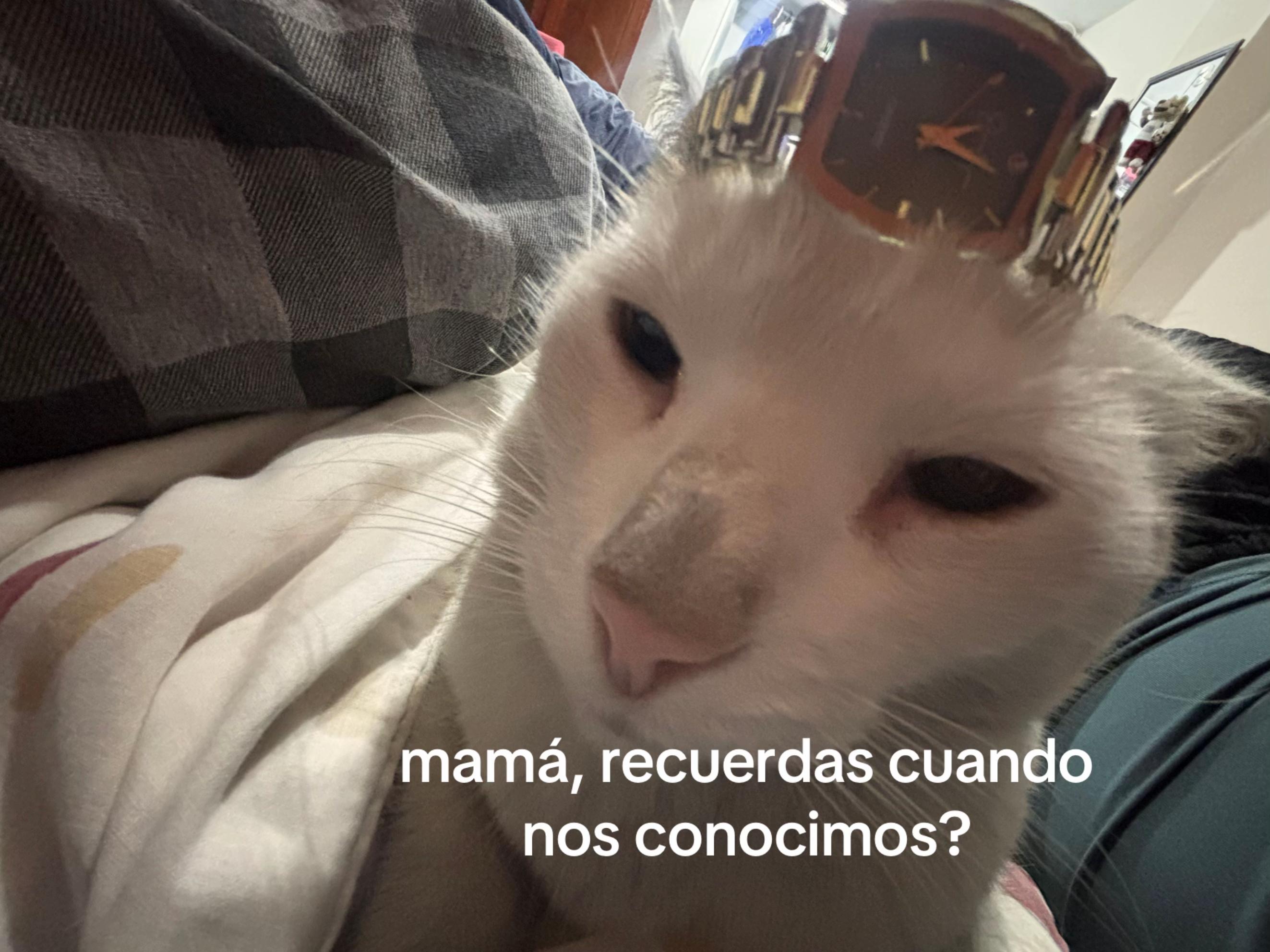 @Kmi